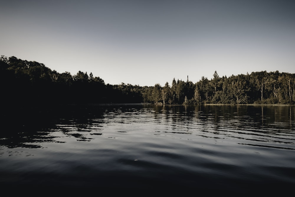 a lake with trees around it