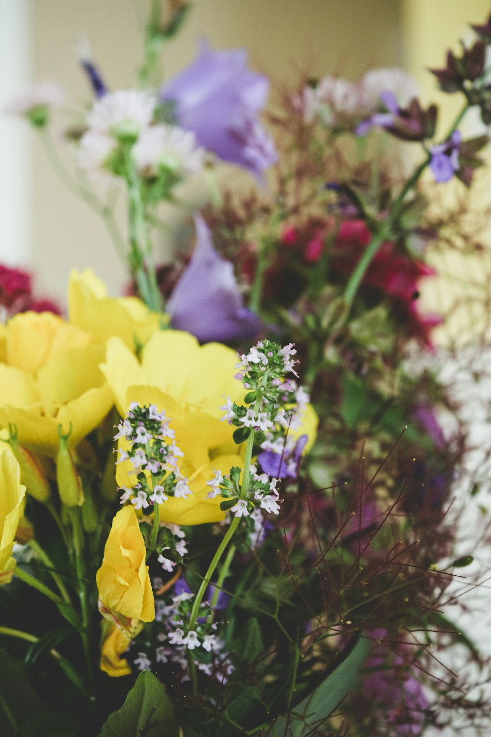 a group of flowers