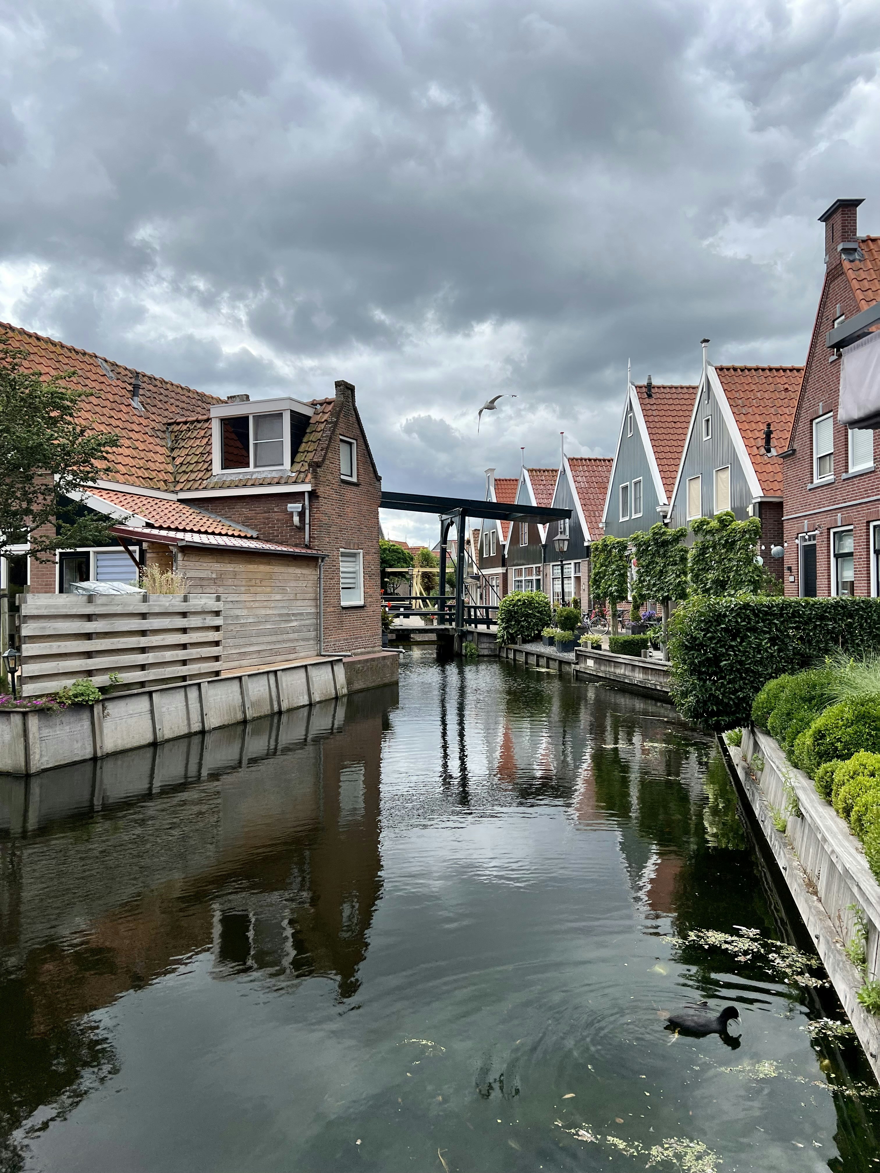 Photo by amirdeljouyi