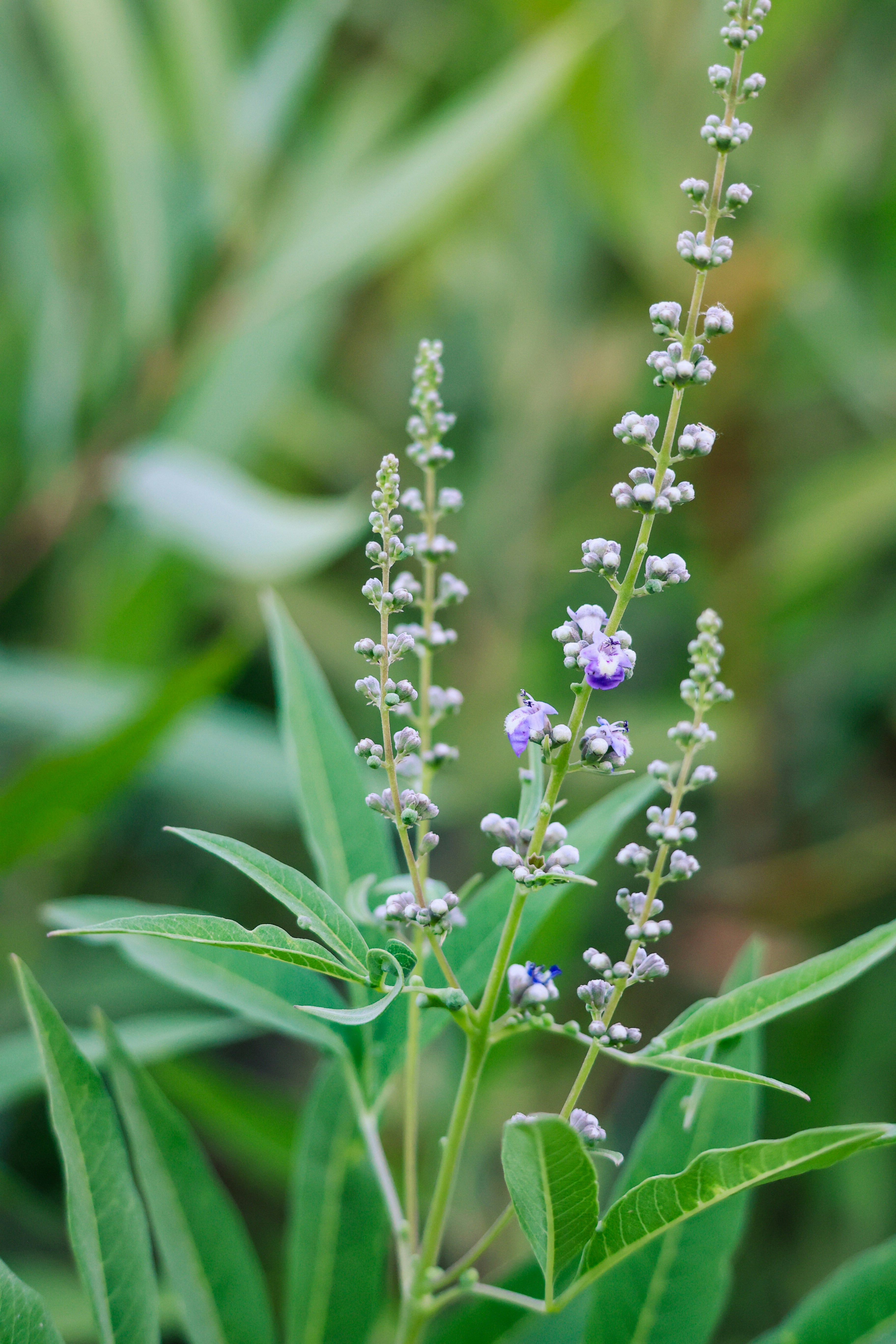 Photo by zrngngharib