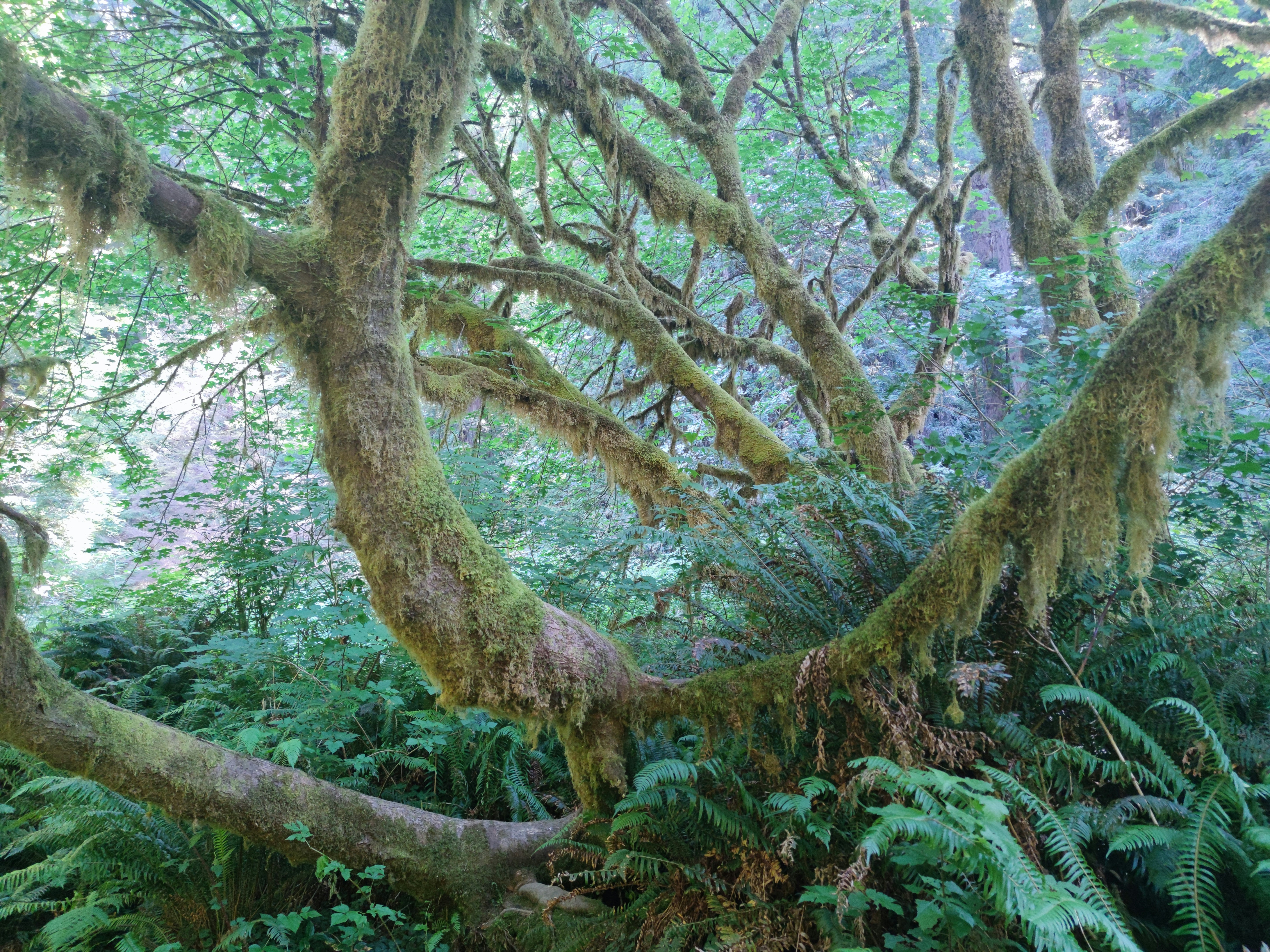 Photo by margitsunnysideup