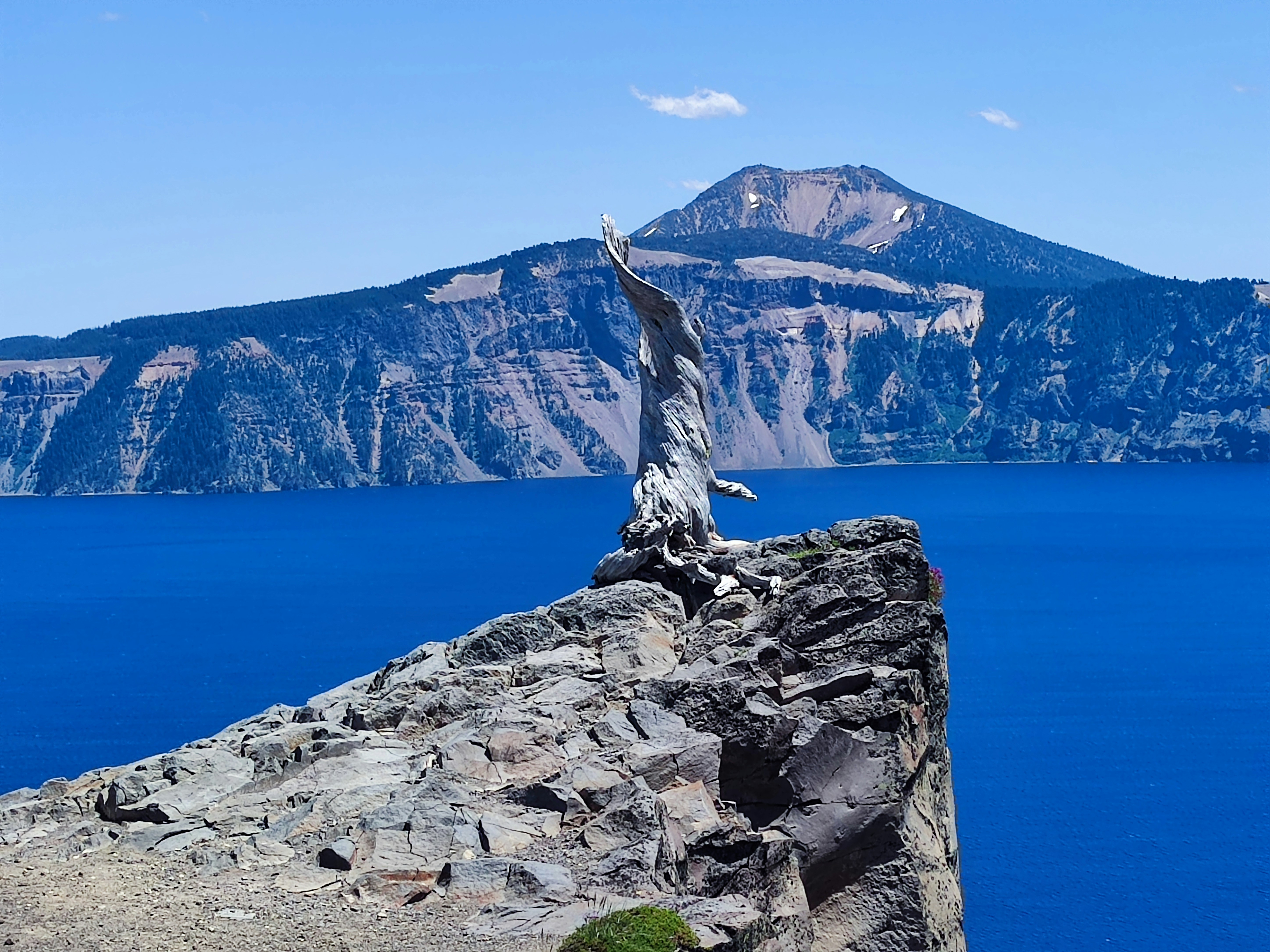 Photo by margitsunnysideup