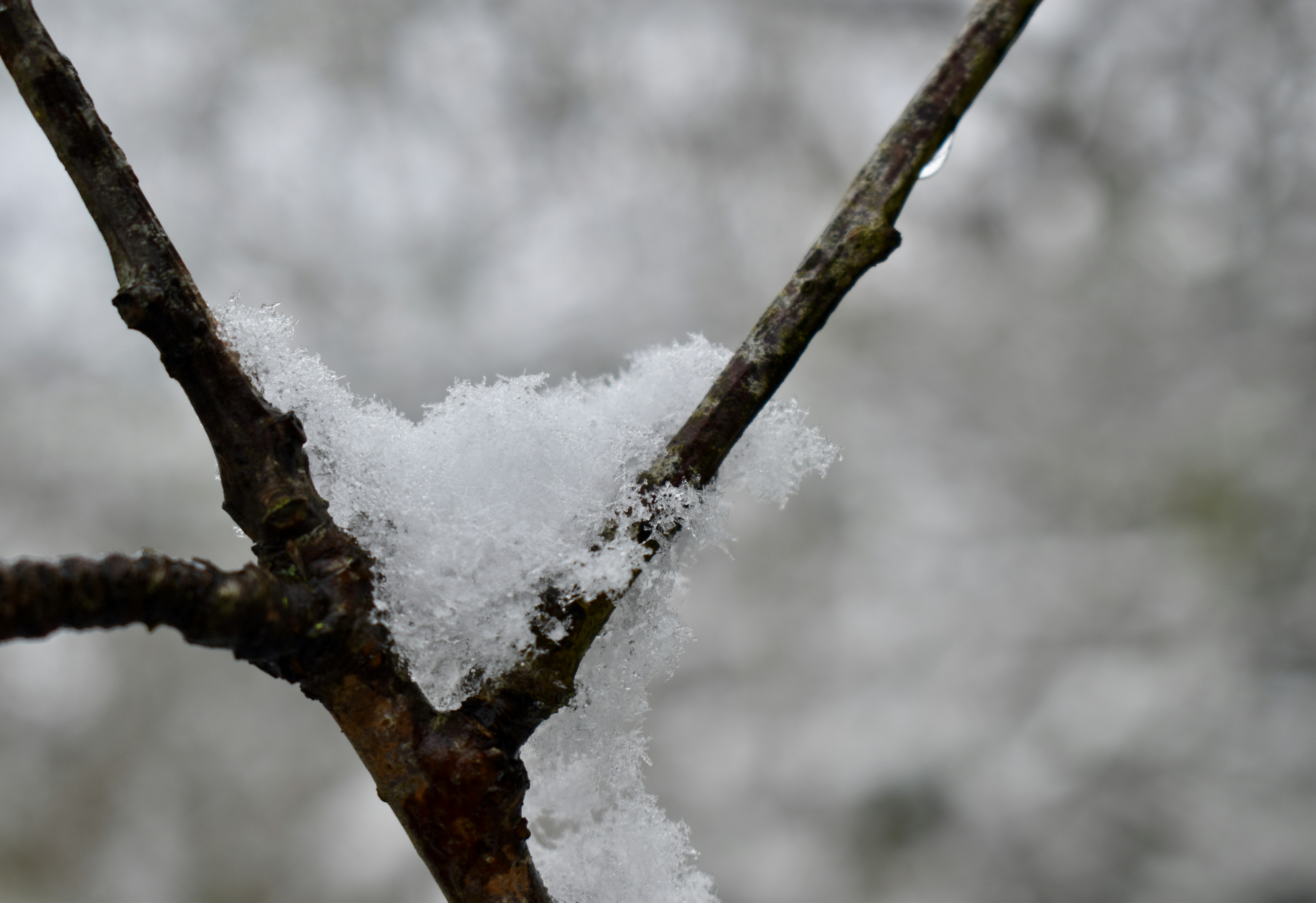 Photo by max_brindley