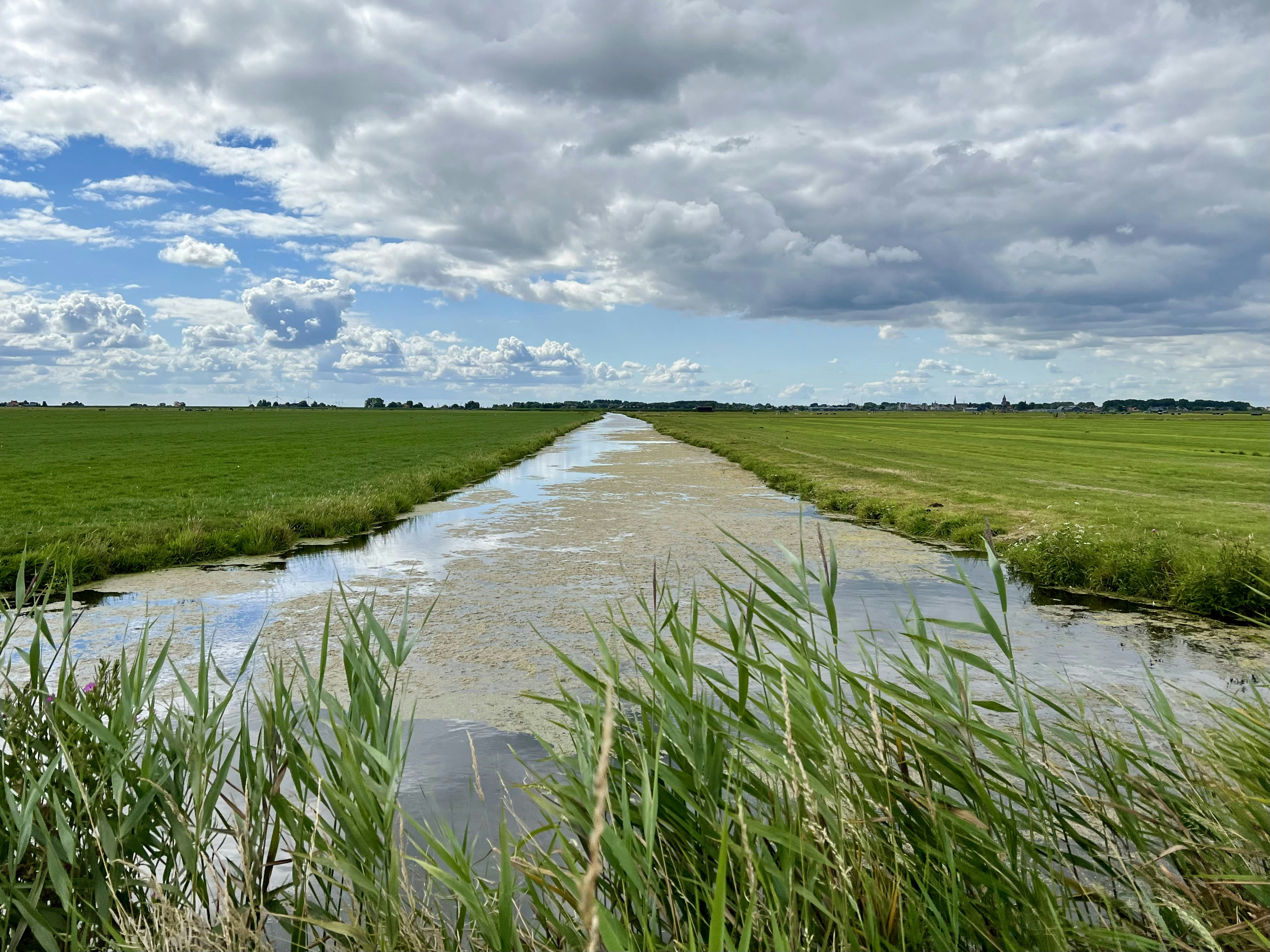 Flemish Coalition Partners Establish New Cross-Border Environmental Commission Amid Regional Tensions Over Water Management Protocols