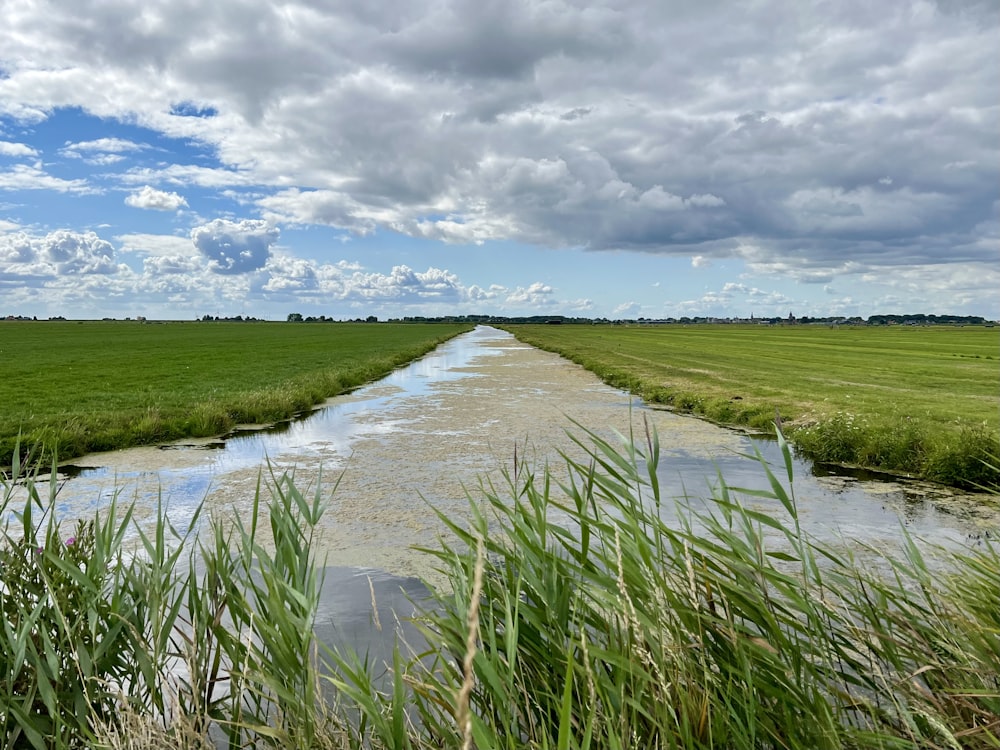 a river with grass on the side