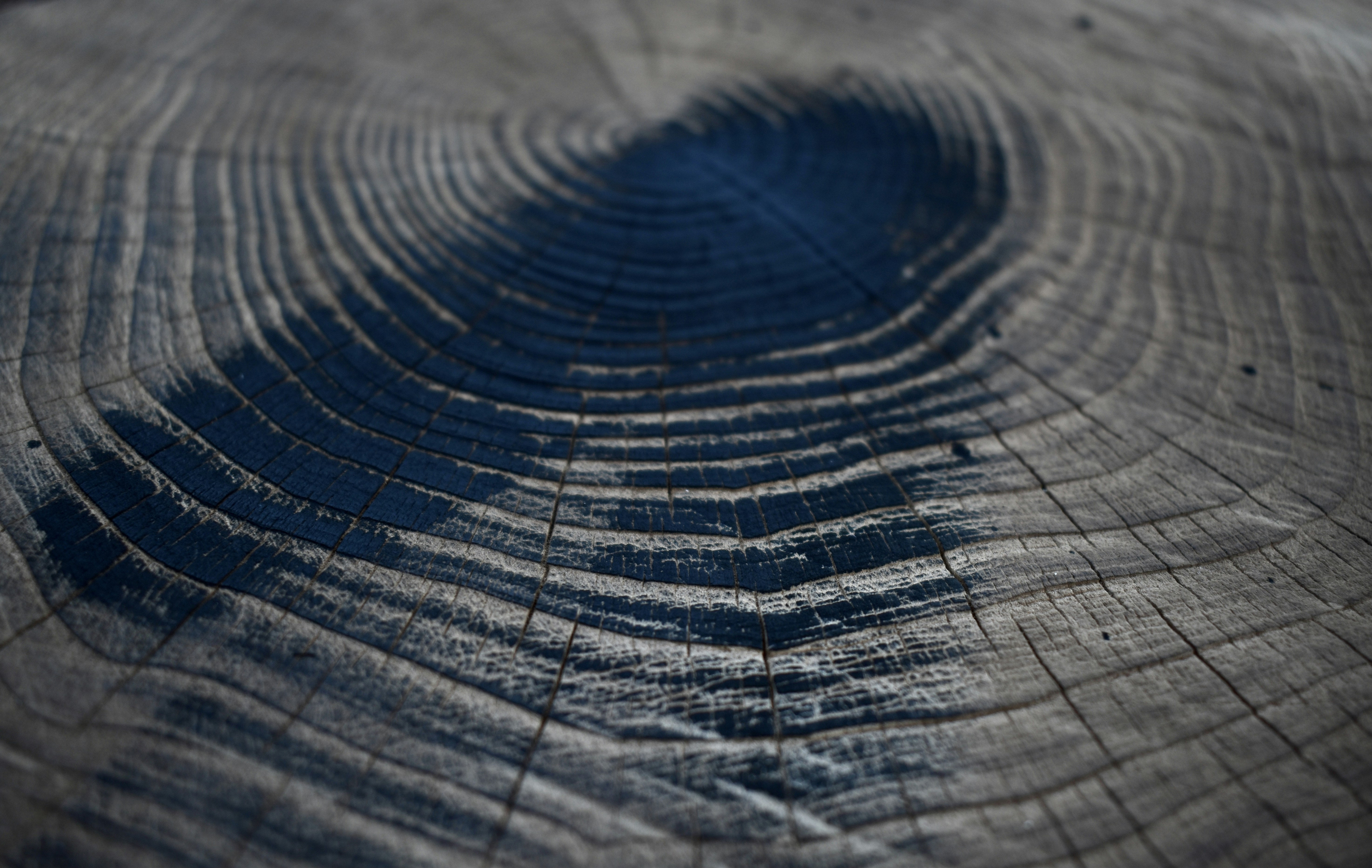 a close-up of a tire