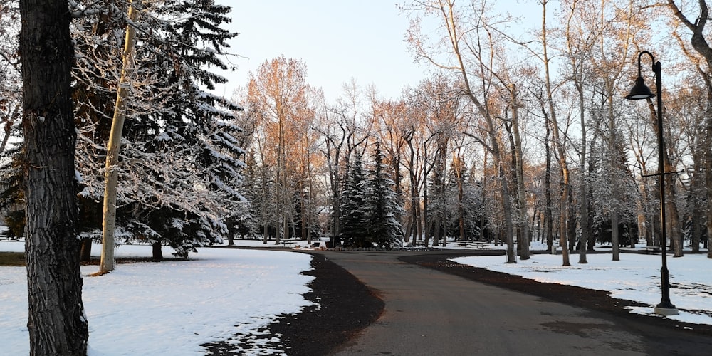 a road with snow on the side