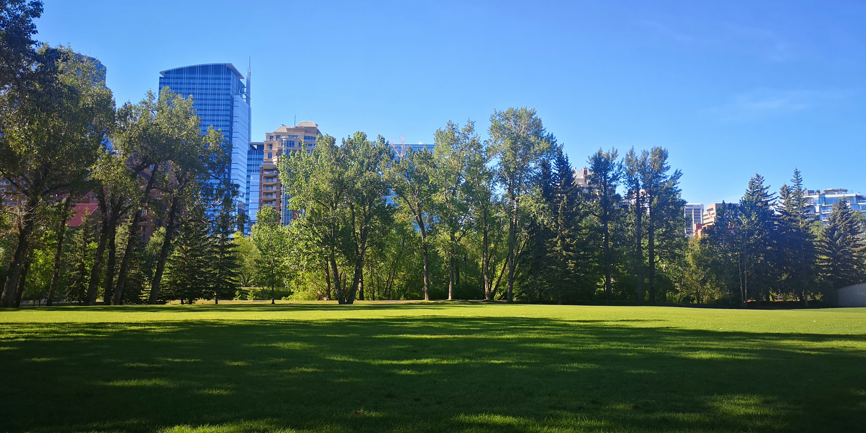 Calgary skyline LinkedIn background