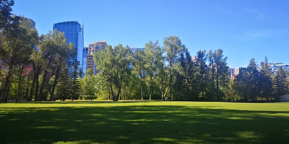 a grassy field with trees and buildings in the background