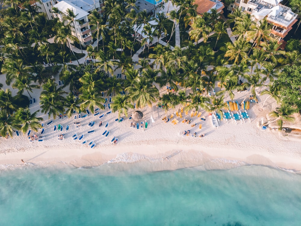 a beach with people on it