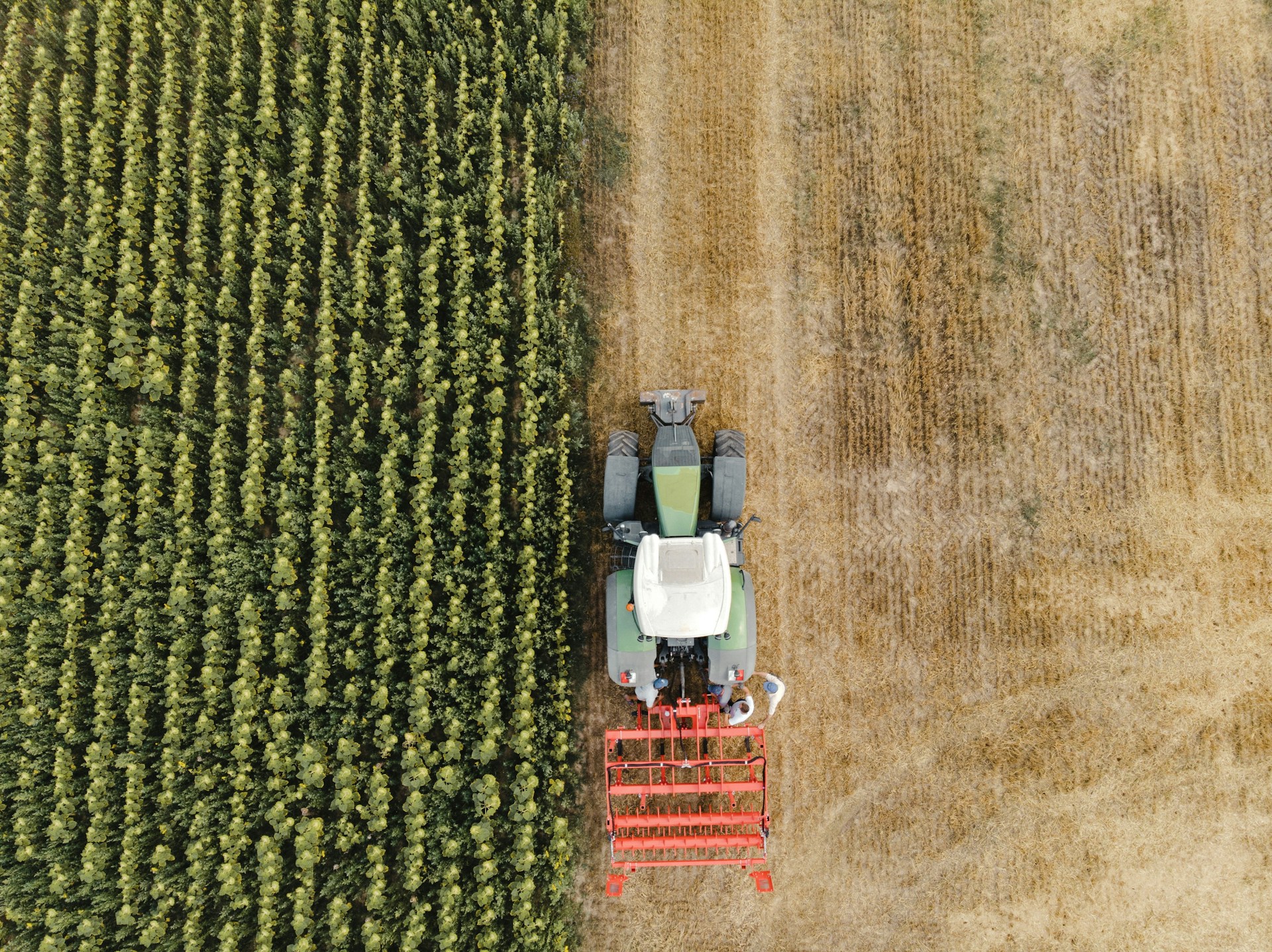 a tractor in a field
