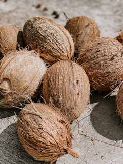 a group of coconuts