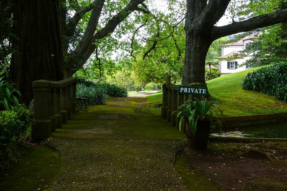 a path with trees and plants on the side