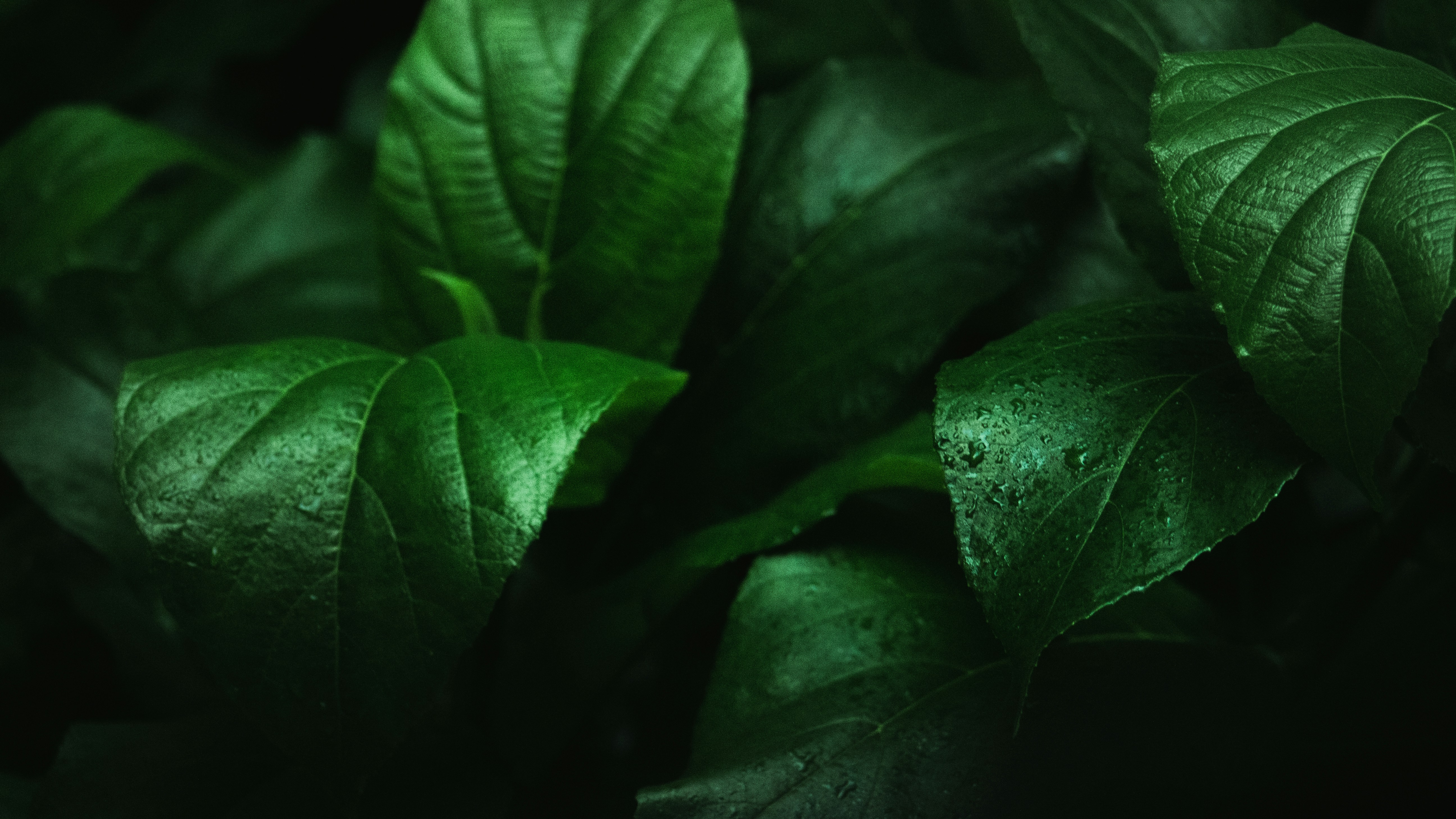 Photo by ionstorm107