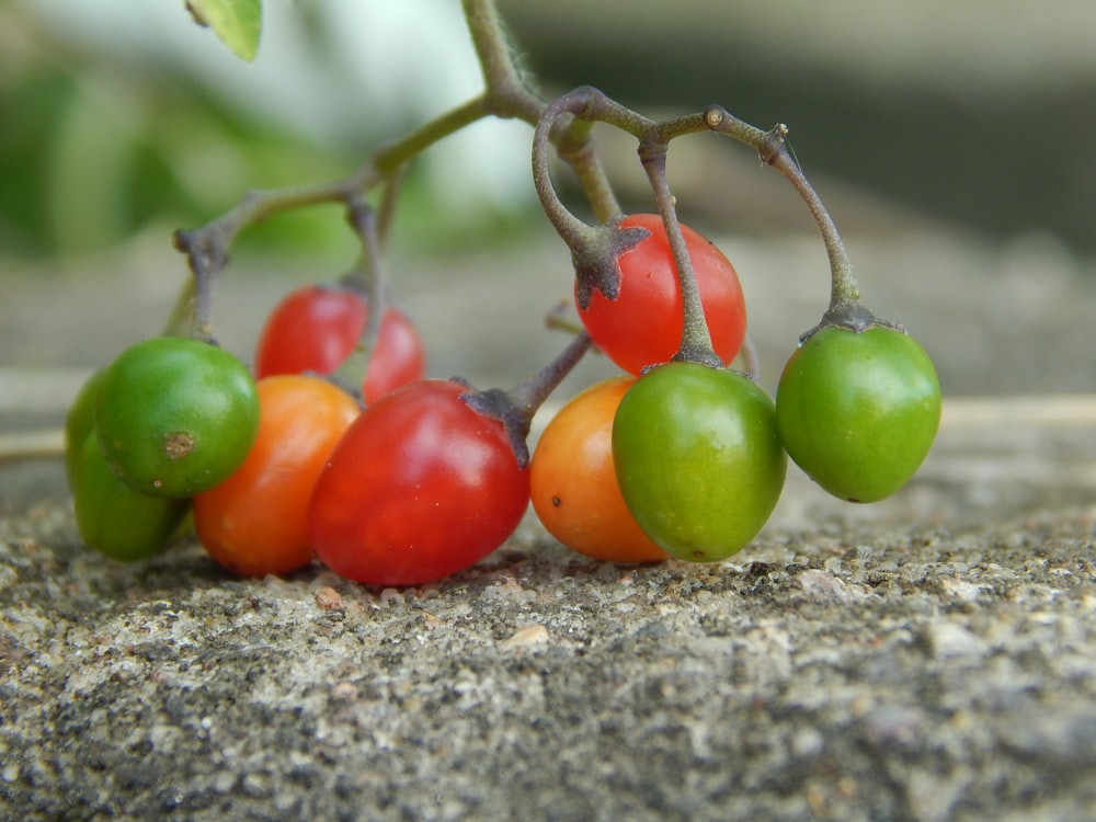 a group of tomatoes on a vine