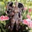 A highly detailed fantasy figurine depicted in intricate armor with dark wings stands amid blooming pink and white flowers. The figure has an intense expression and is surrounded by green foliage, creating a striking contrast between the natural setting and the otherworldly character.