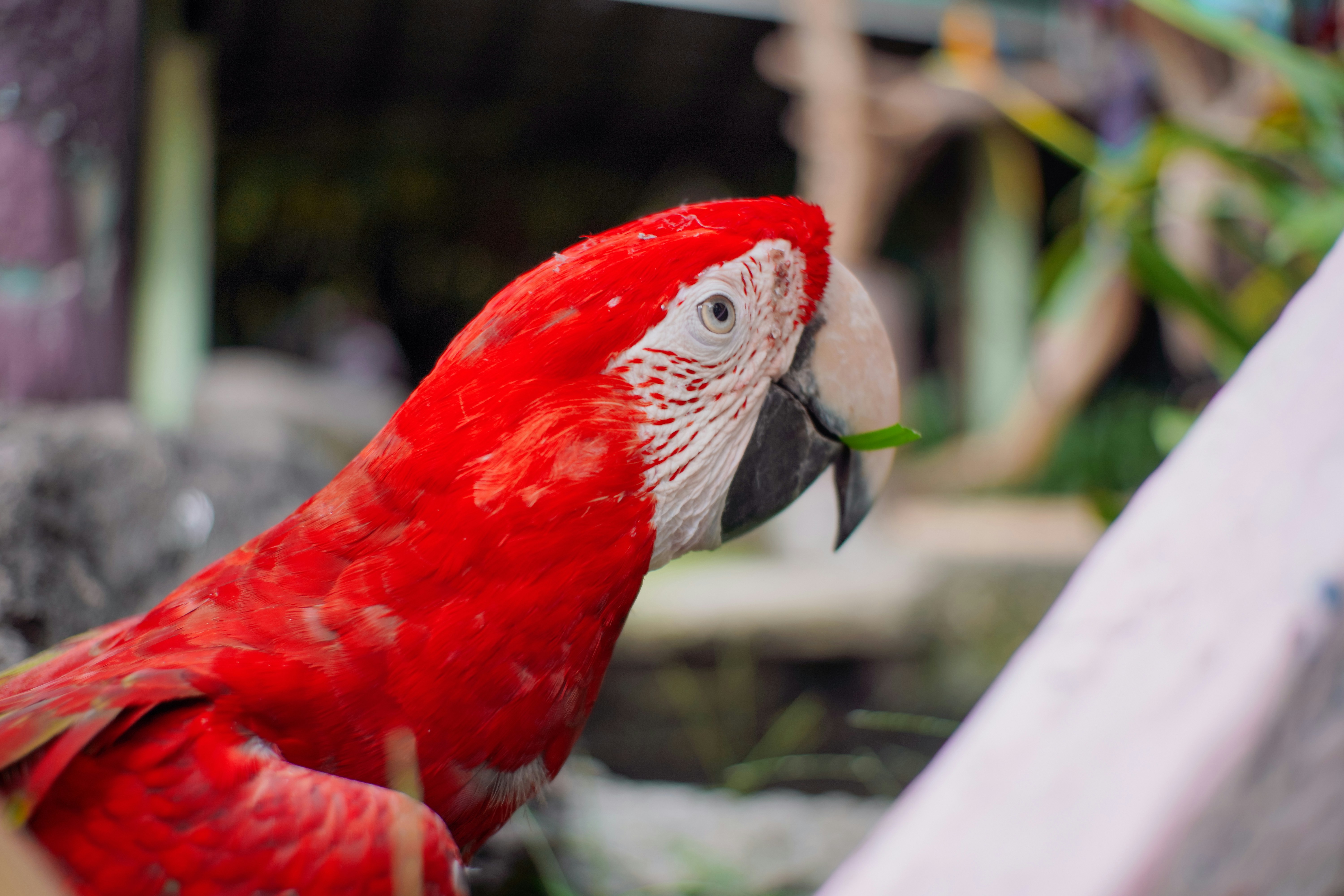 Photo by aungswamnyi