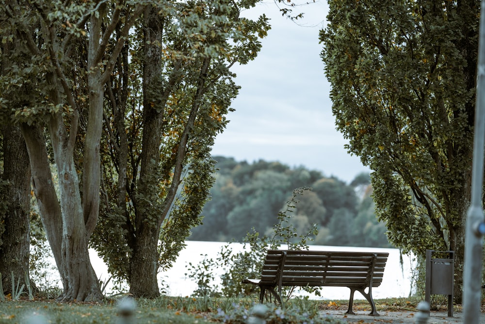 a bench in a park