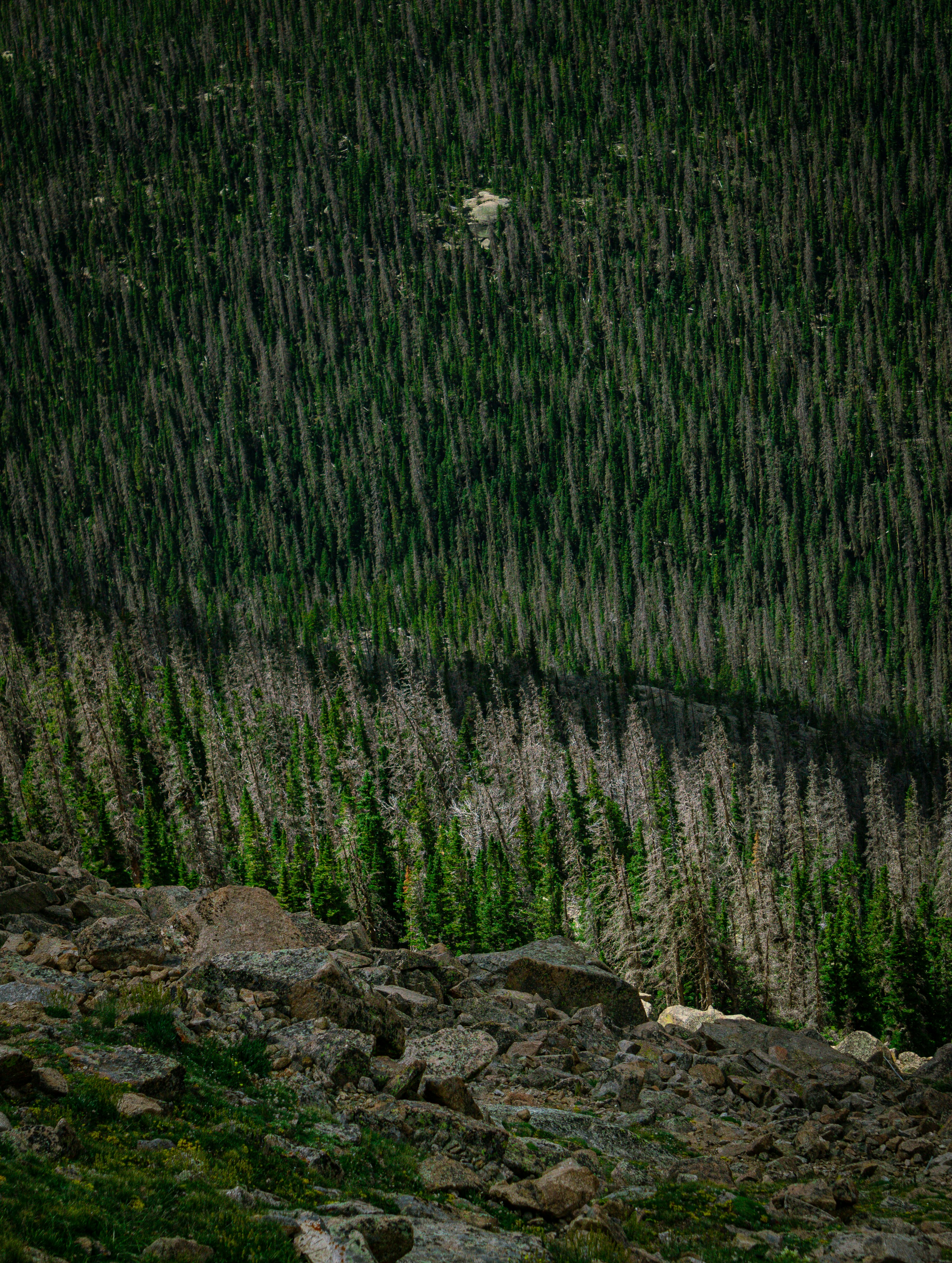 Photo by callumeddings