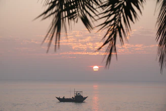 Wide shot of a tropical Whitsundays coastline with a fishing boat casting a line at sunset.