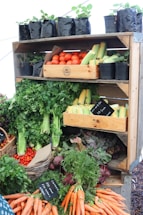 a market with vegetables and fruits