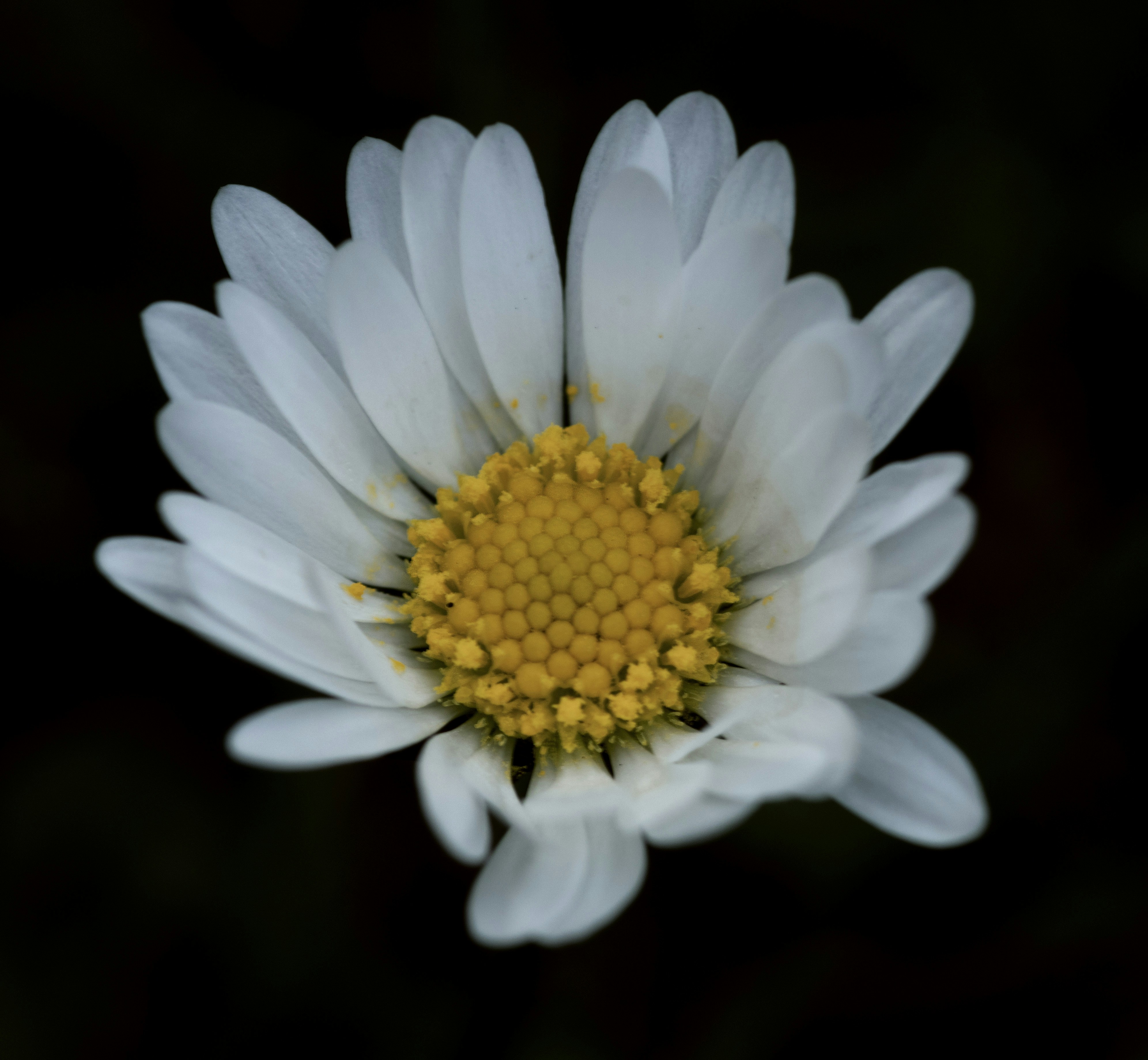 Photo by wanderingwithgarycpt