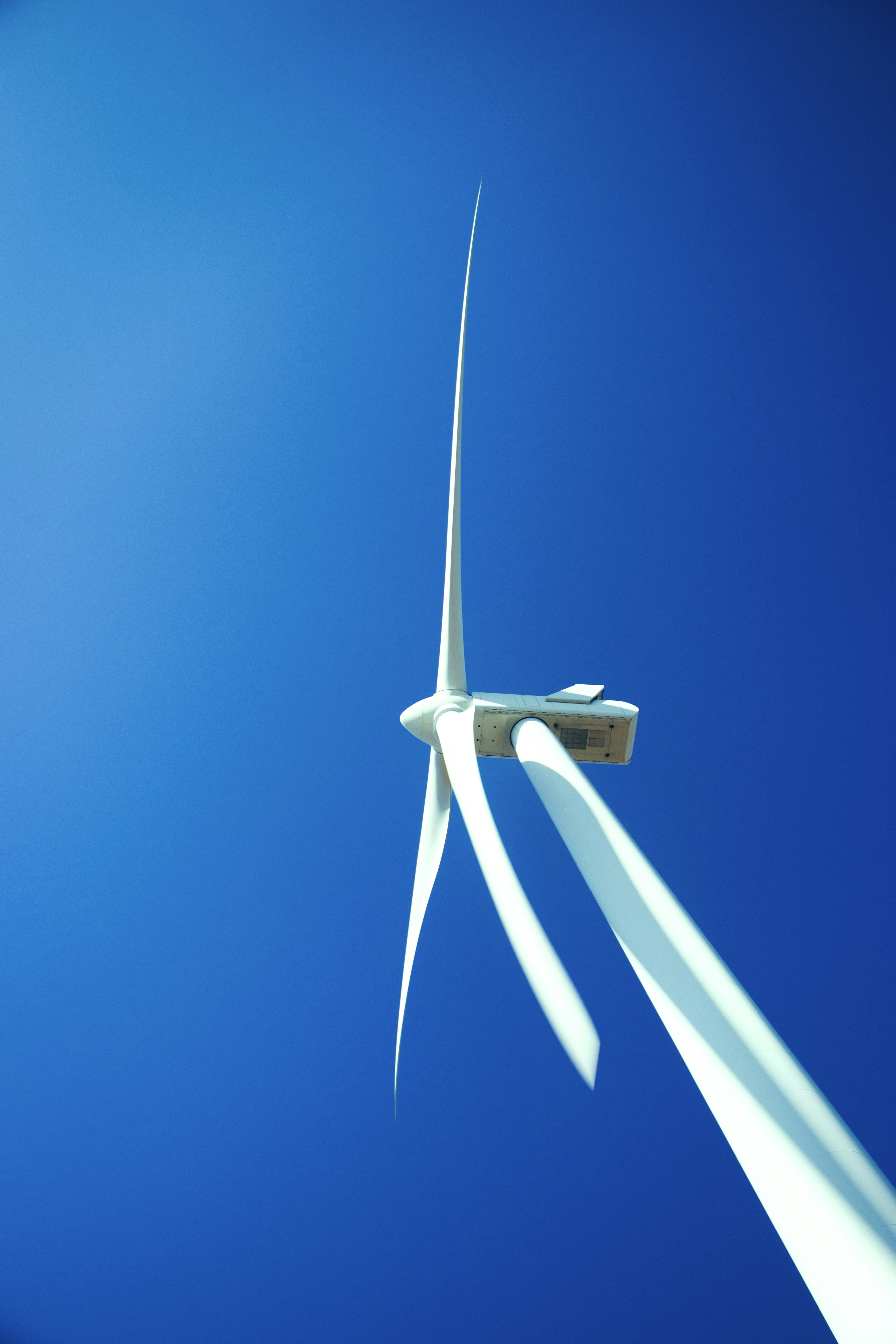 Photo by wanderingwithgarycpt