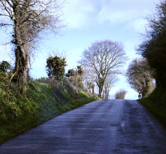 A peaceful country lane bordered by hedges under a soft, overcast sky, evoking calm reflection.