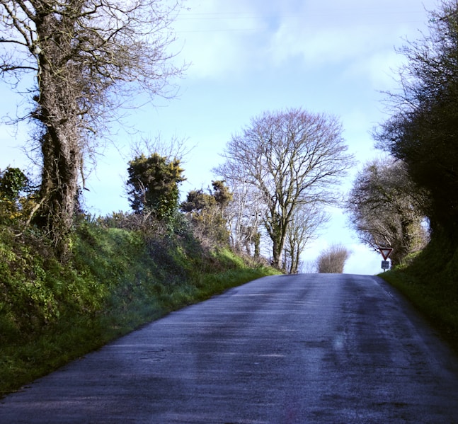 A peaceful country lane bordered by hedges under a soft, overcast sky, evoking calm reflection.