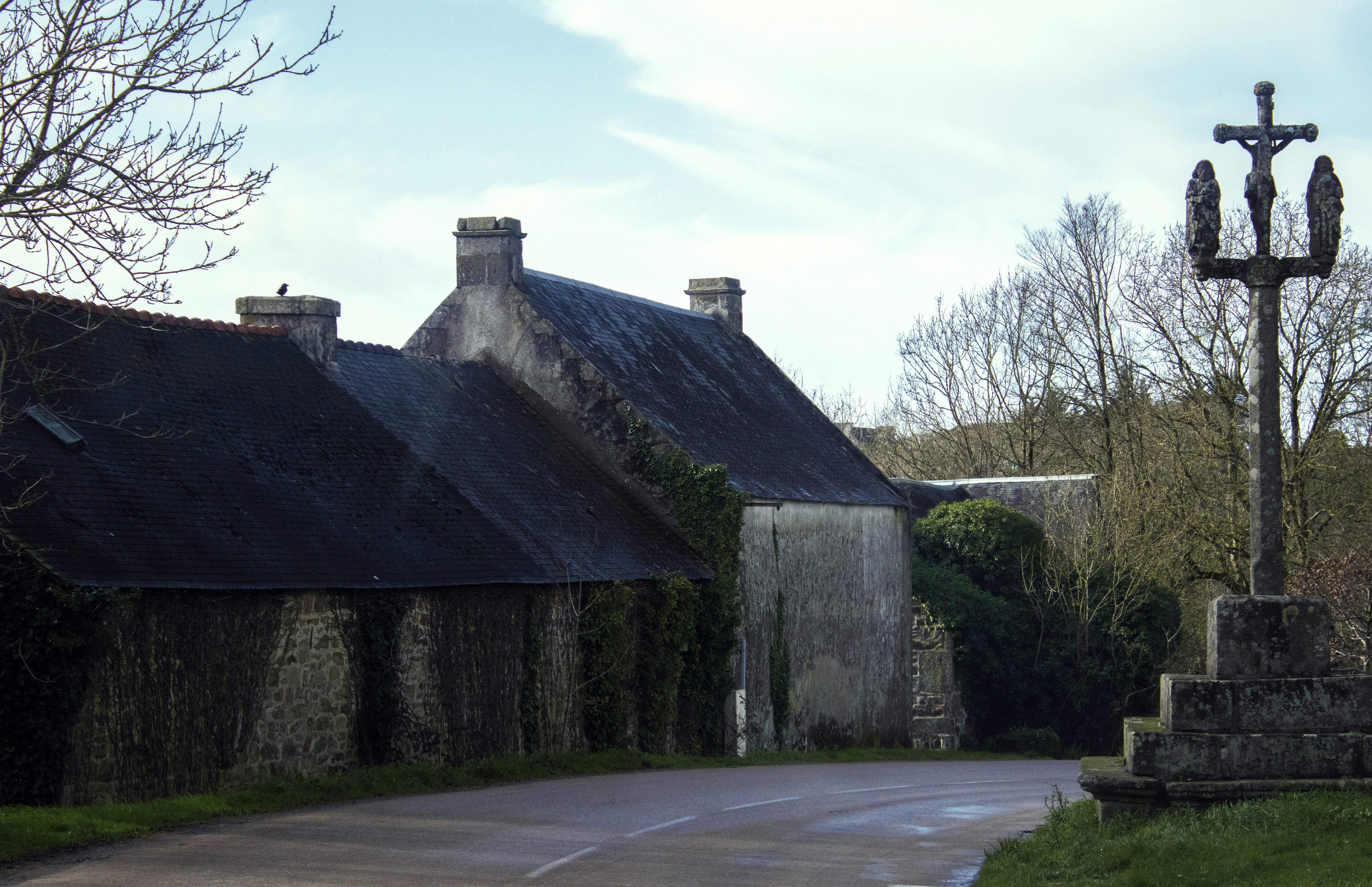 Photo by wanderingwithgarycpt