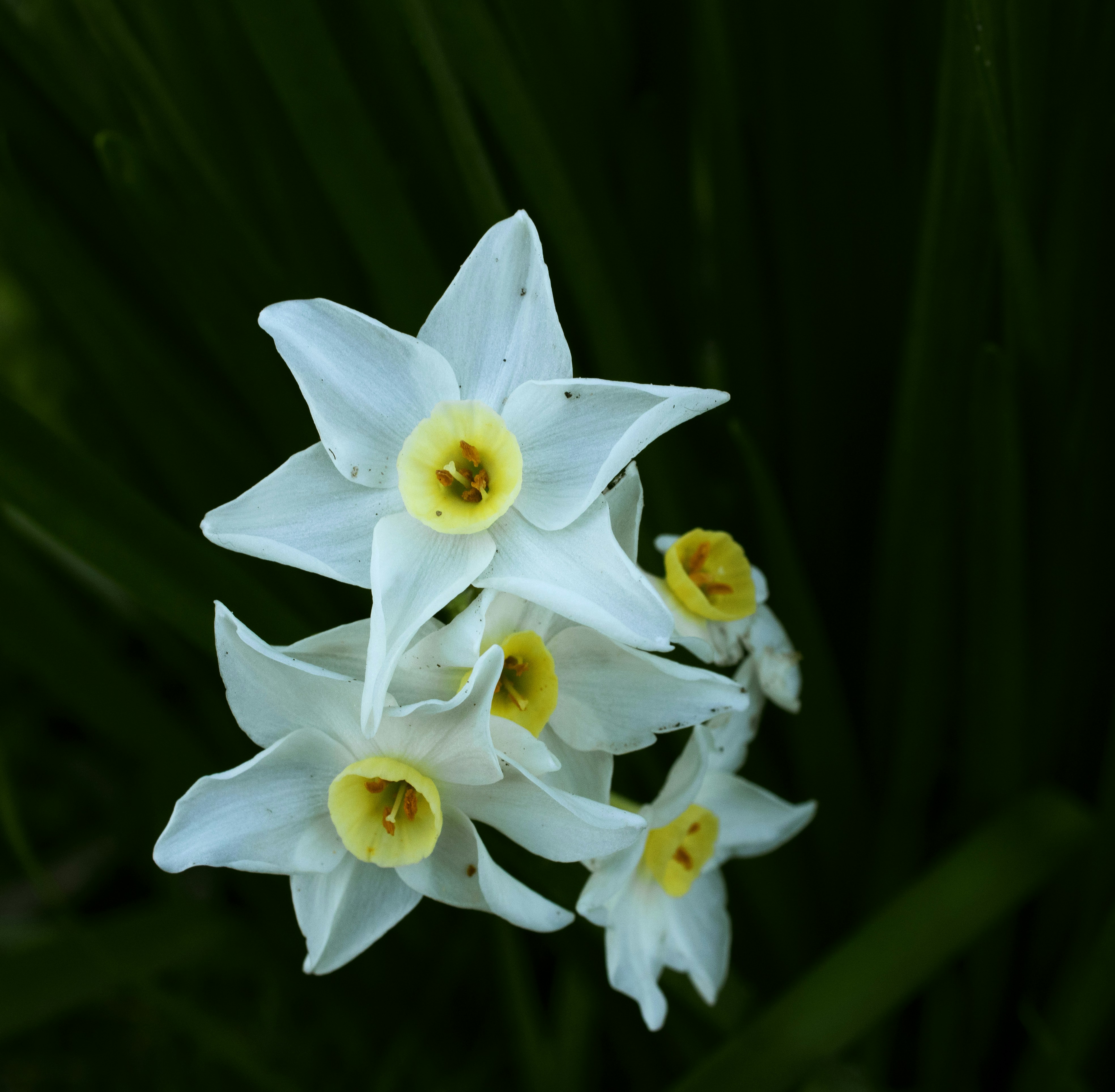 Photo by wanderingwithgarycpt