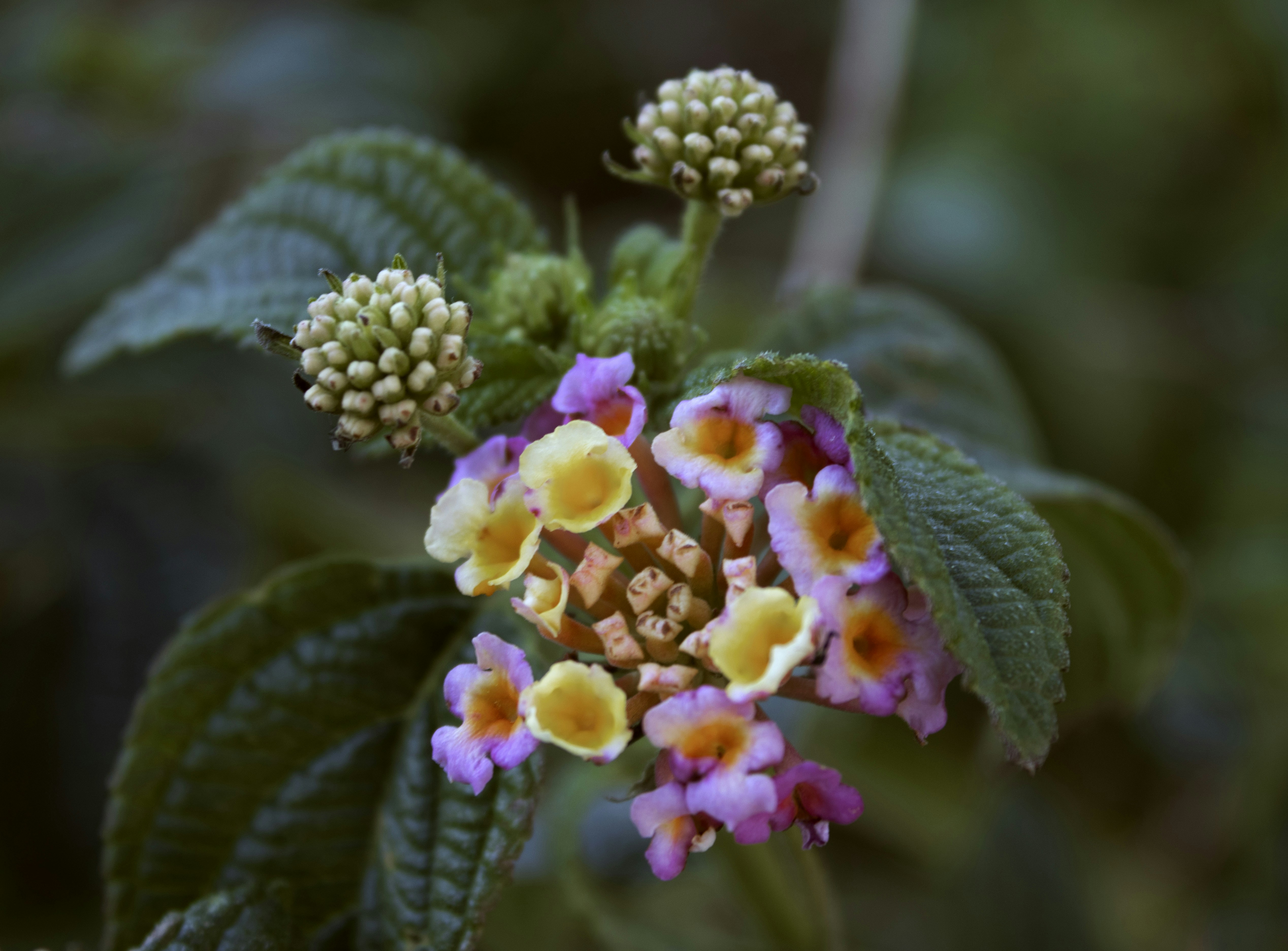 Photo by wanderingwithgarycpt