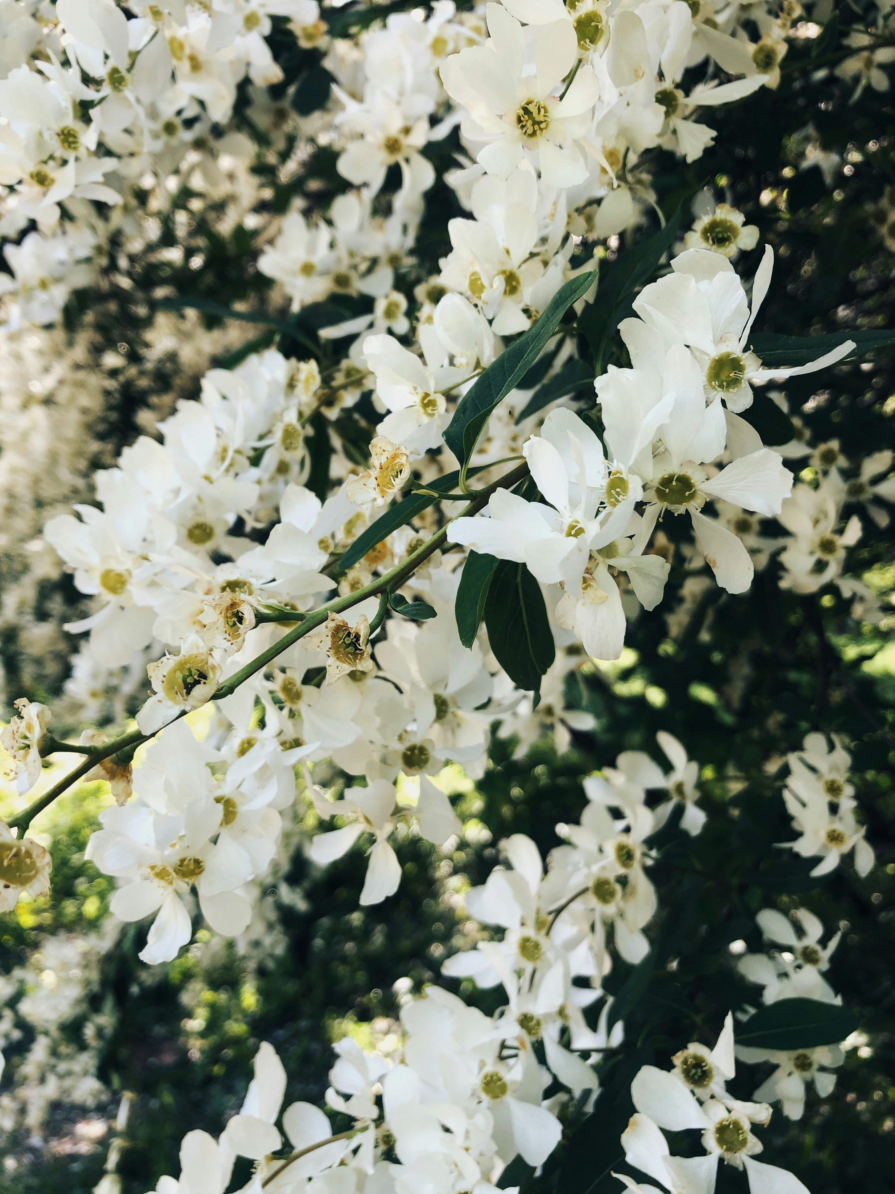 Photo by kolir_svitla