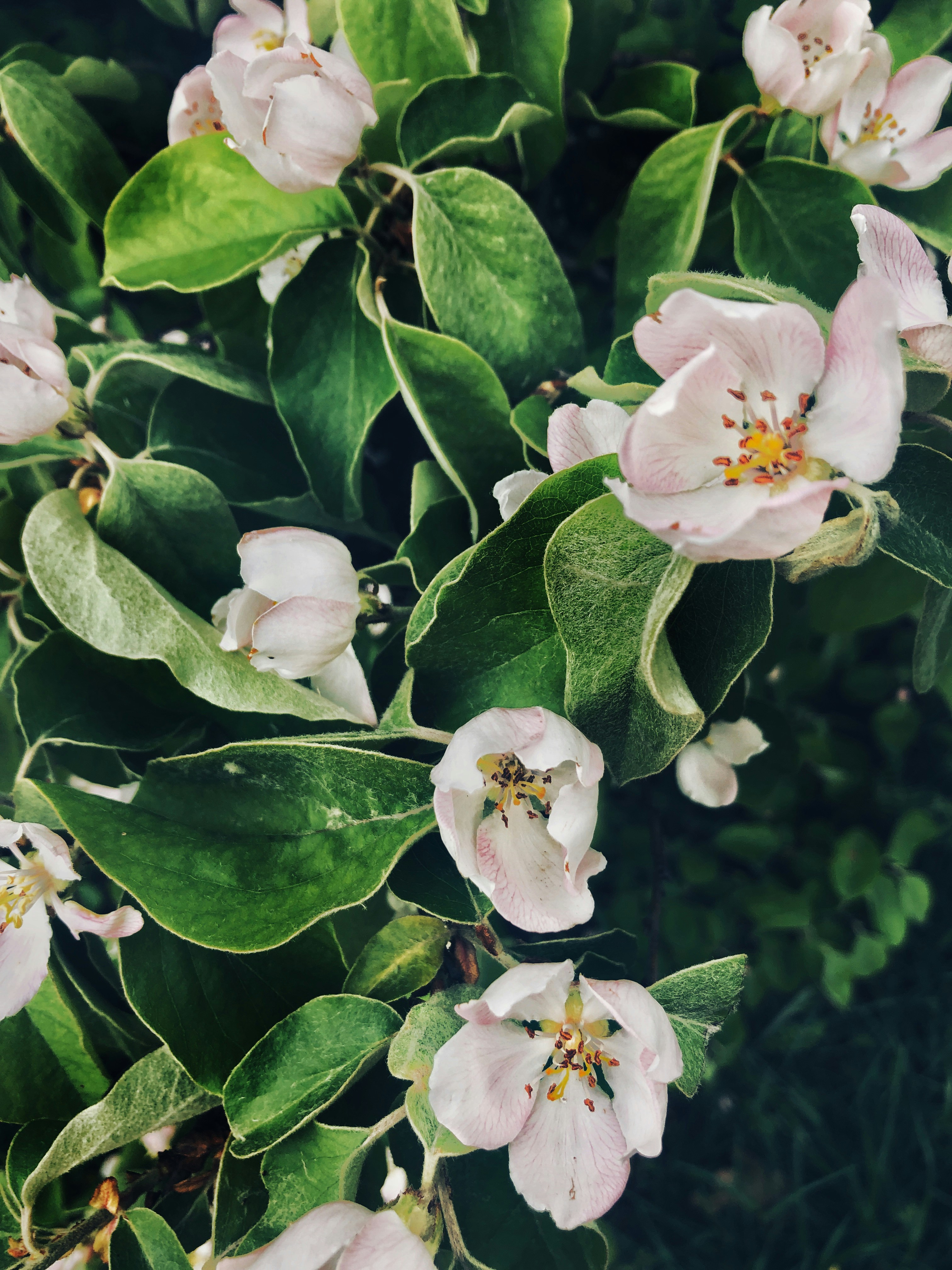 Photo by kolir_svitla