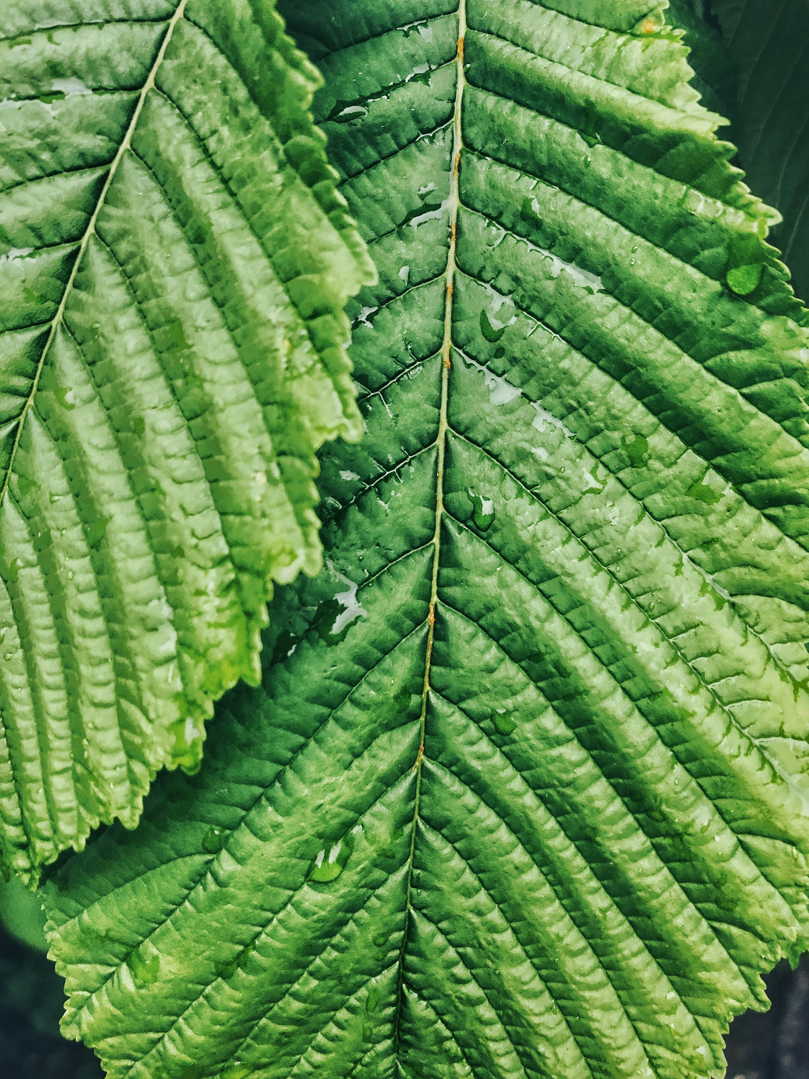 Photo by kolir_svitla