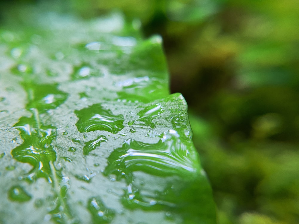 a close up of water droplets