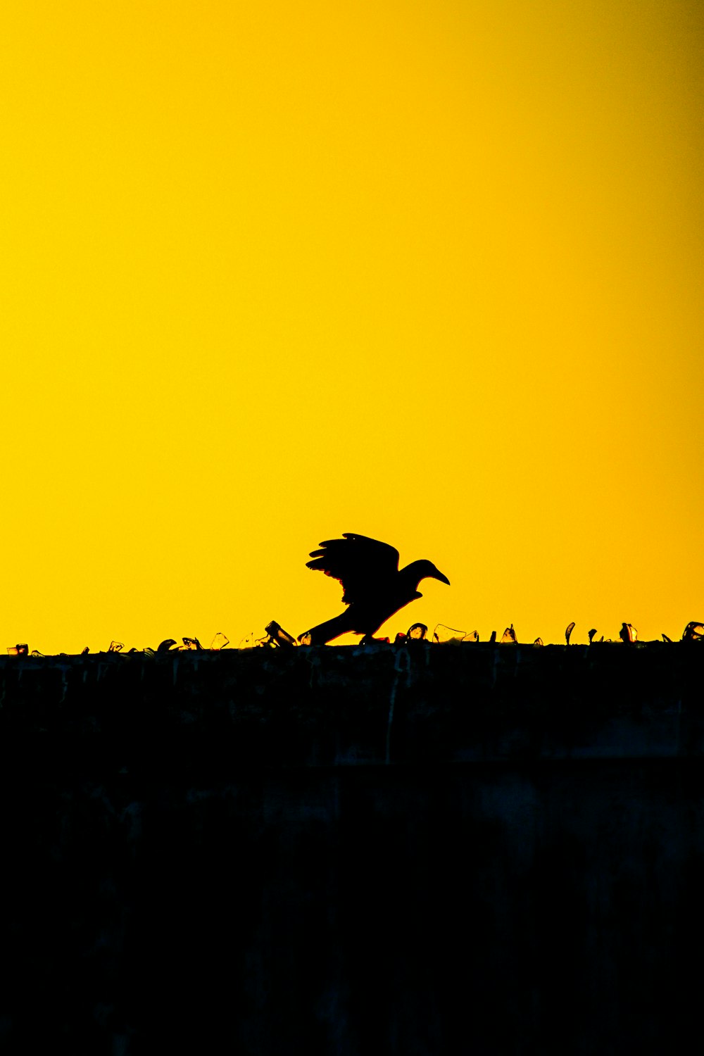 a silhouette of a person walking on a beach at sunset