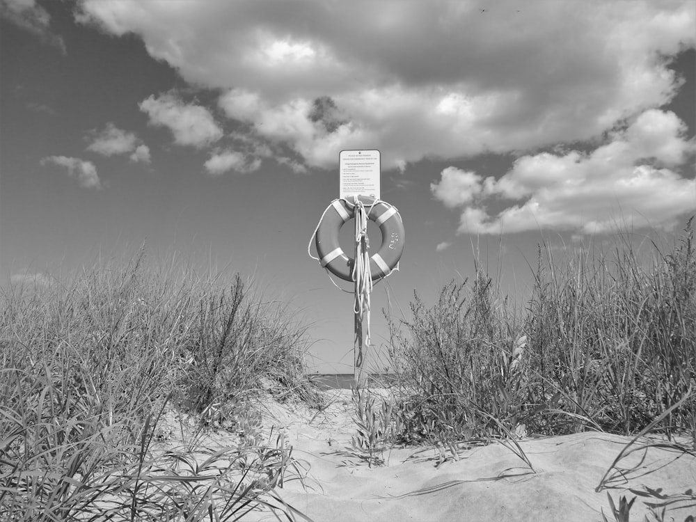 a sign in a field