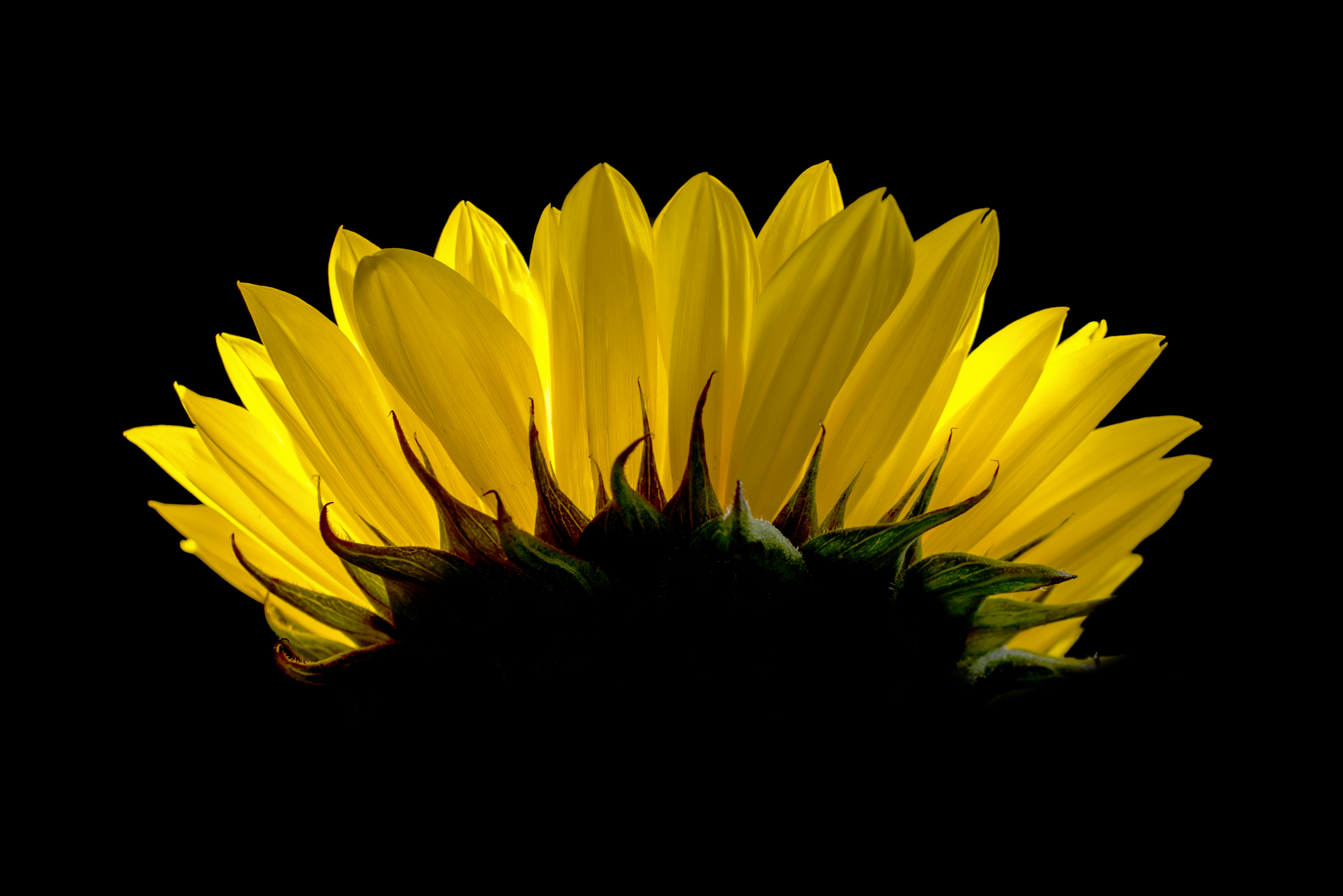 Photo by switch_dtp_fotografie