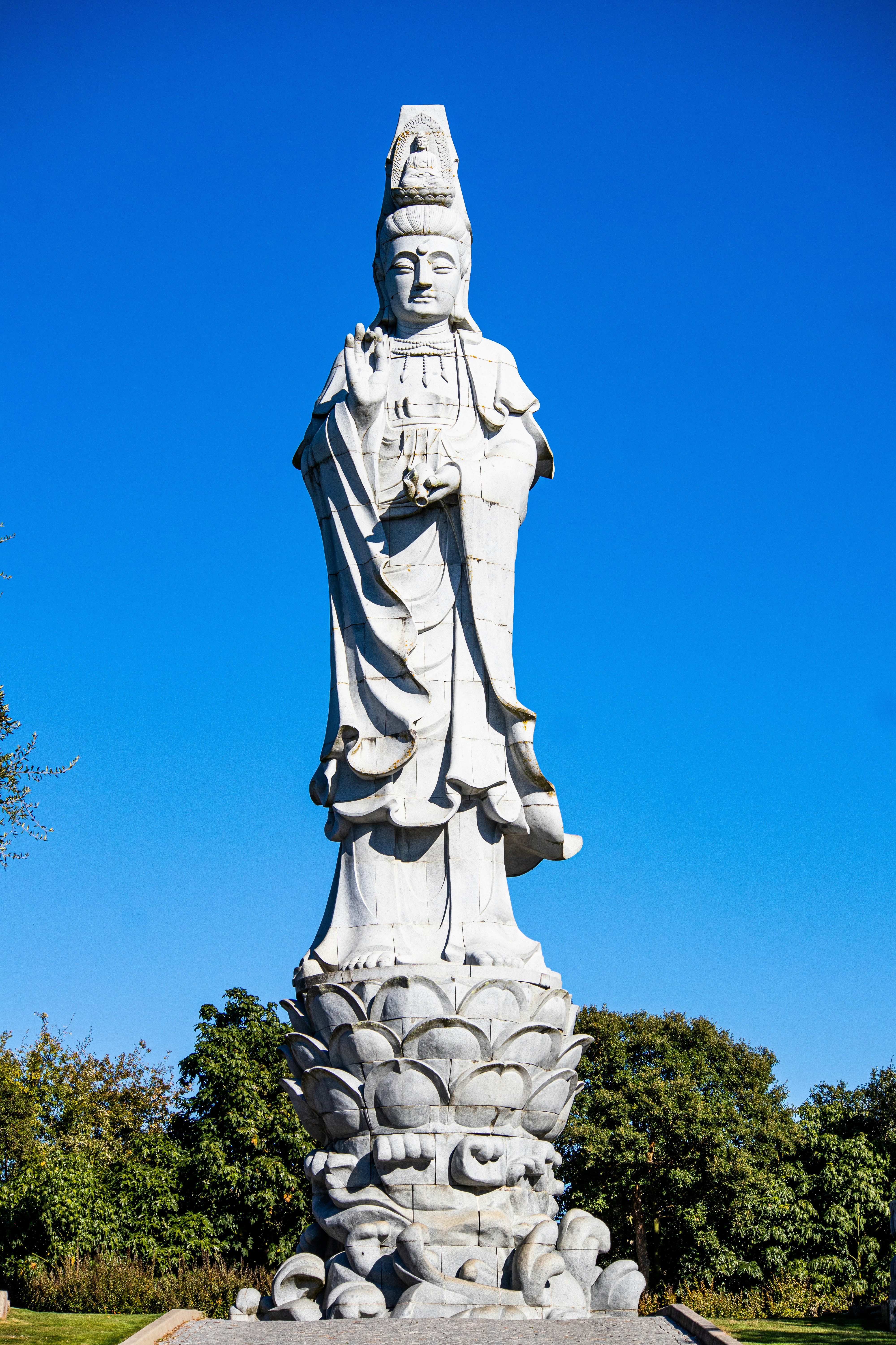 Photo by wendell_adriel