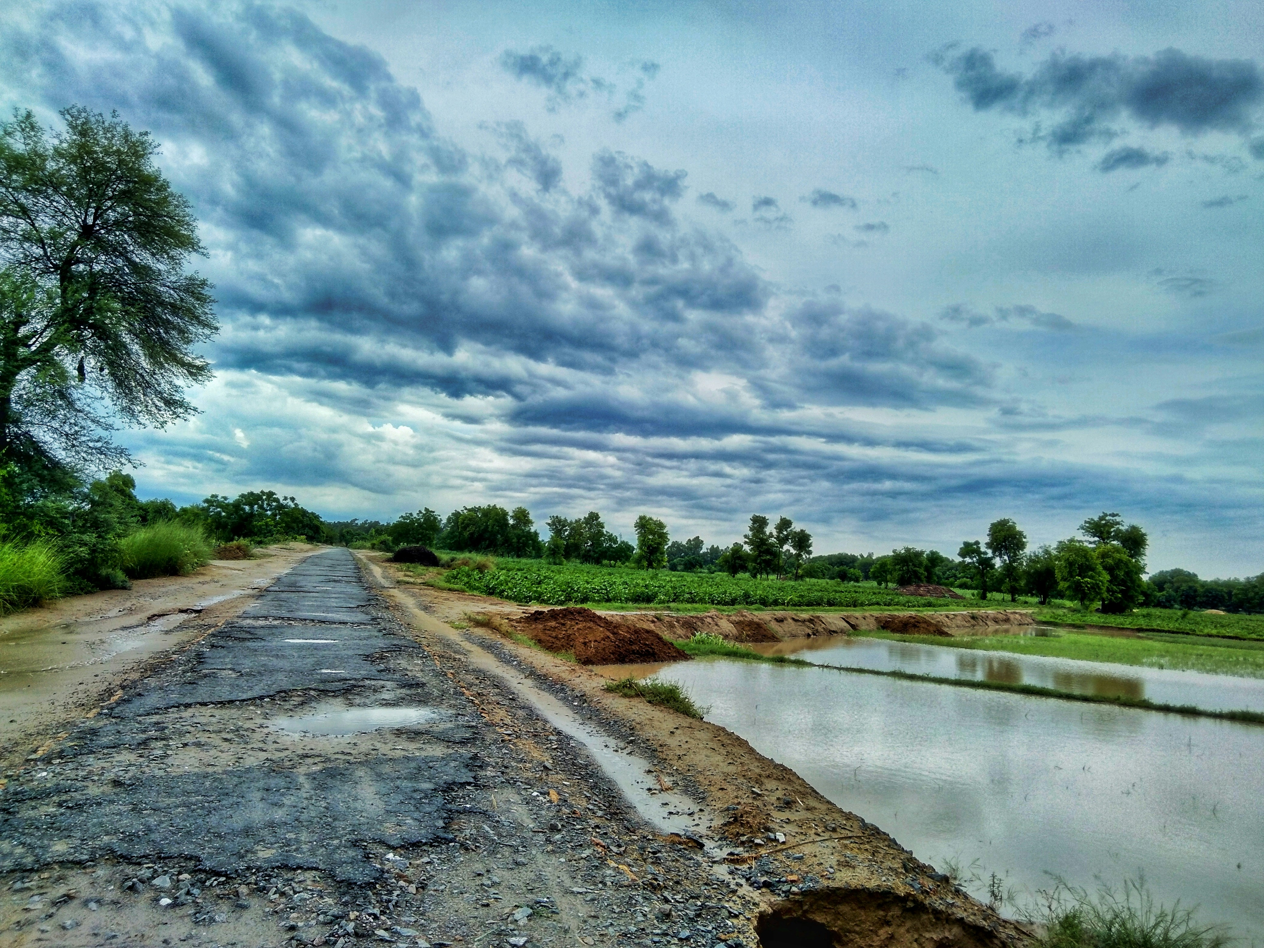 Photo by codename_robot