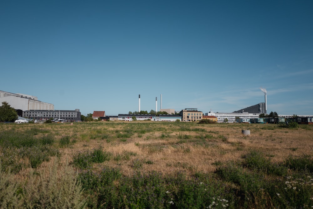 a field with buildings in the background