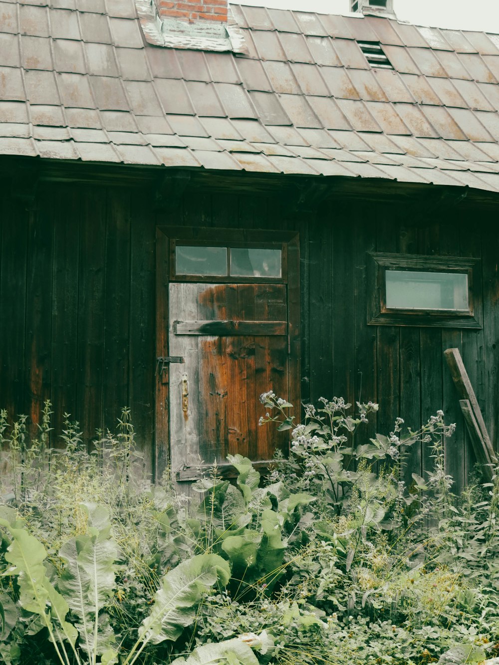 a house with a fence and plants in front of it