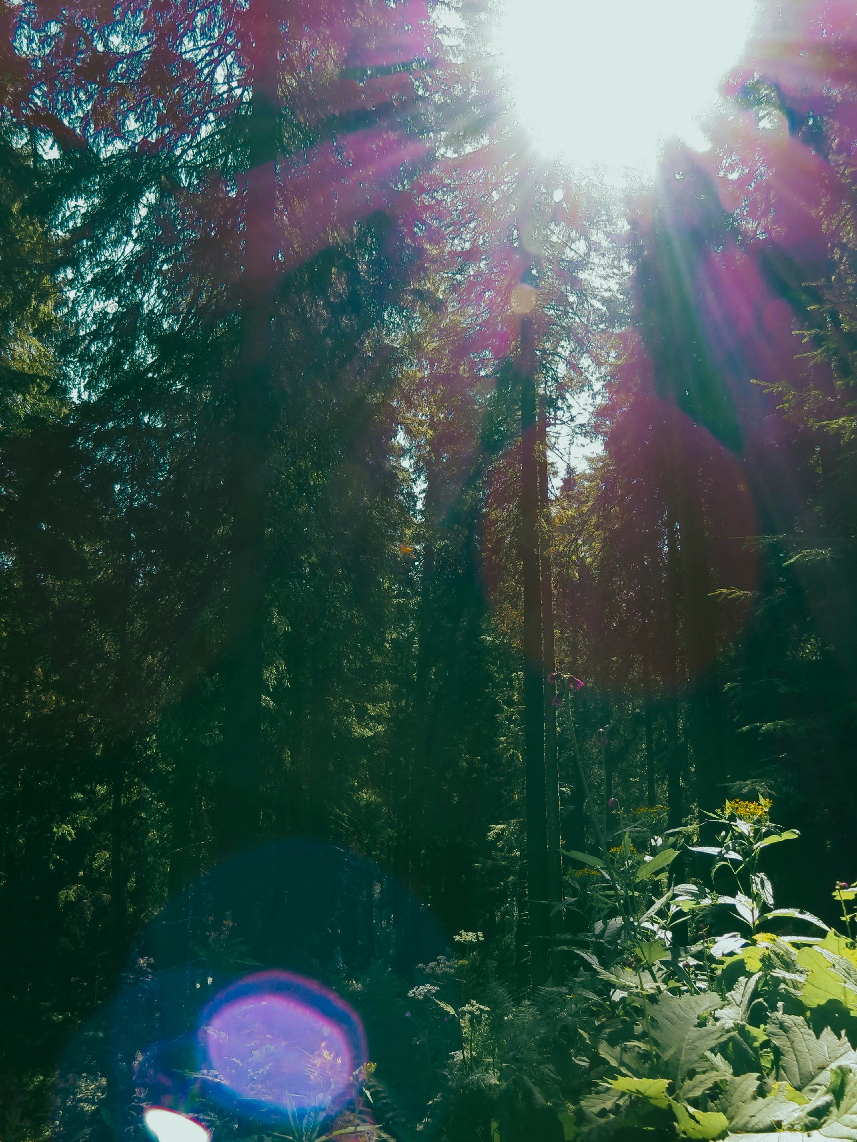 Photo by linaos