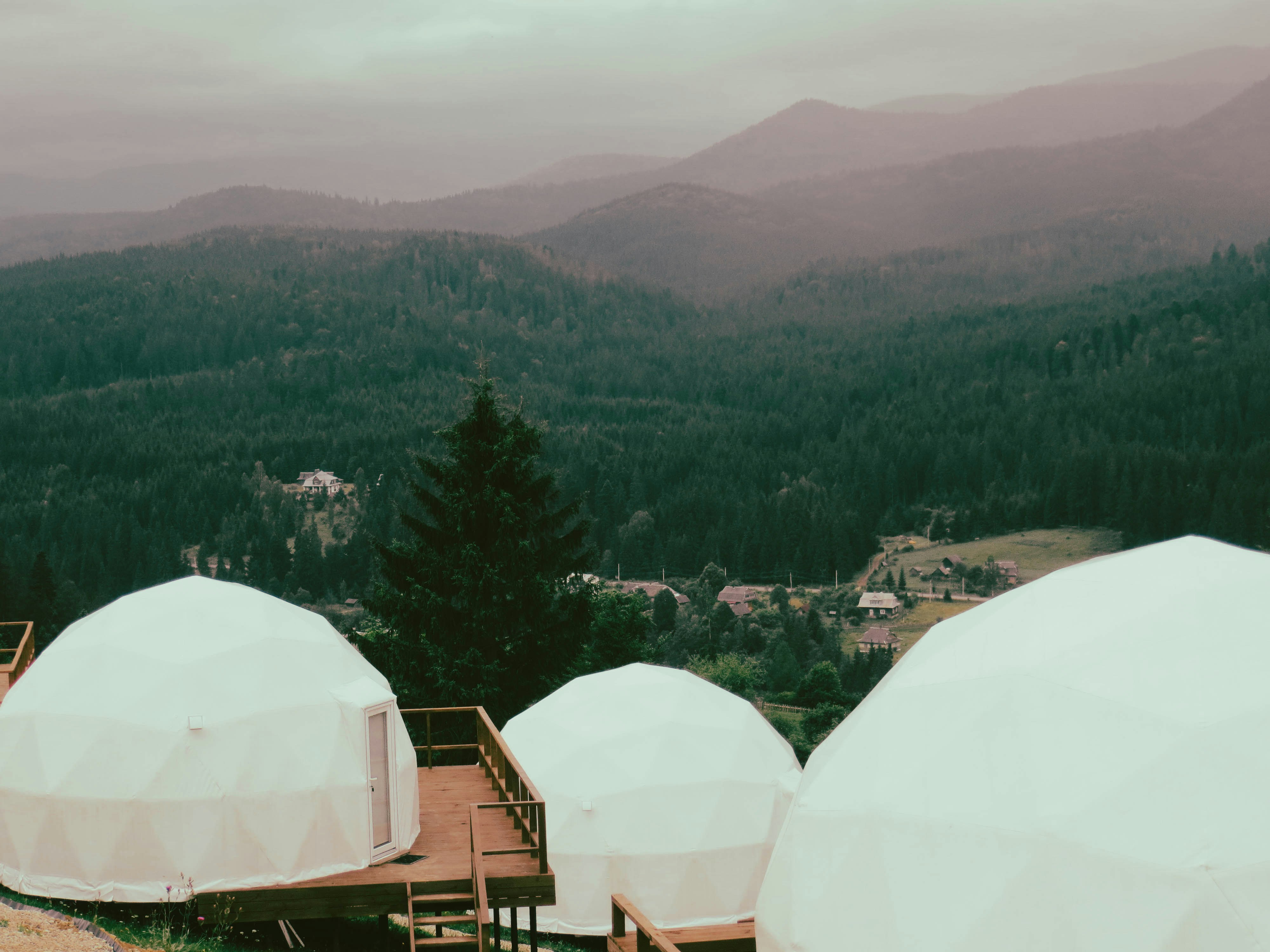 a group of white tents with trees and mountains in the background