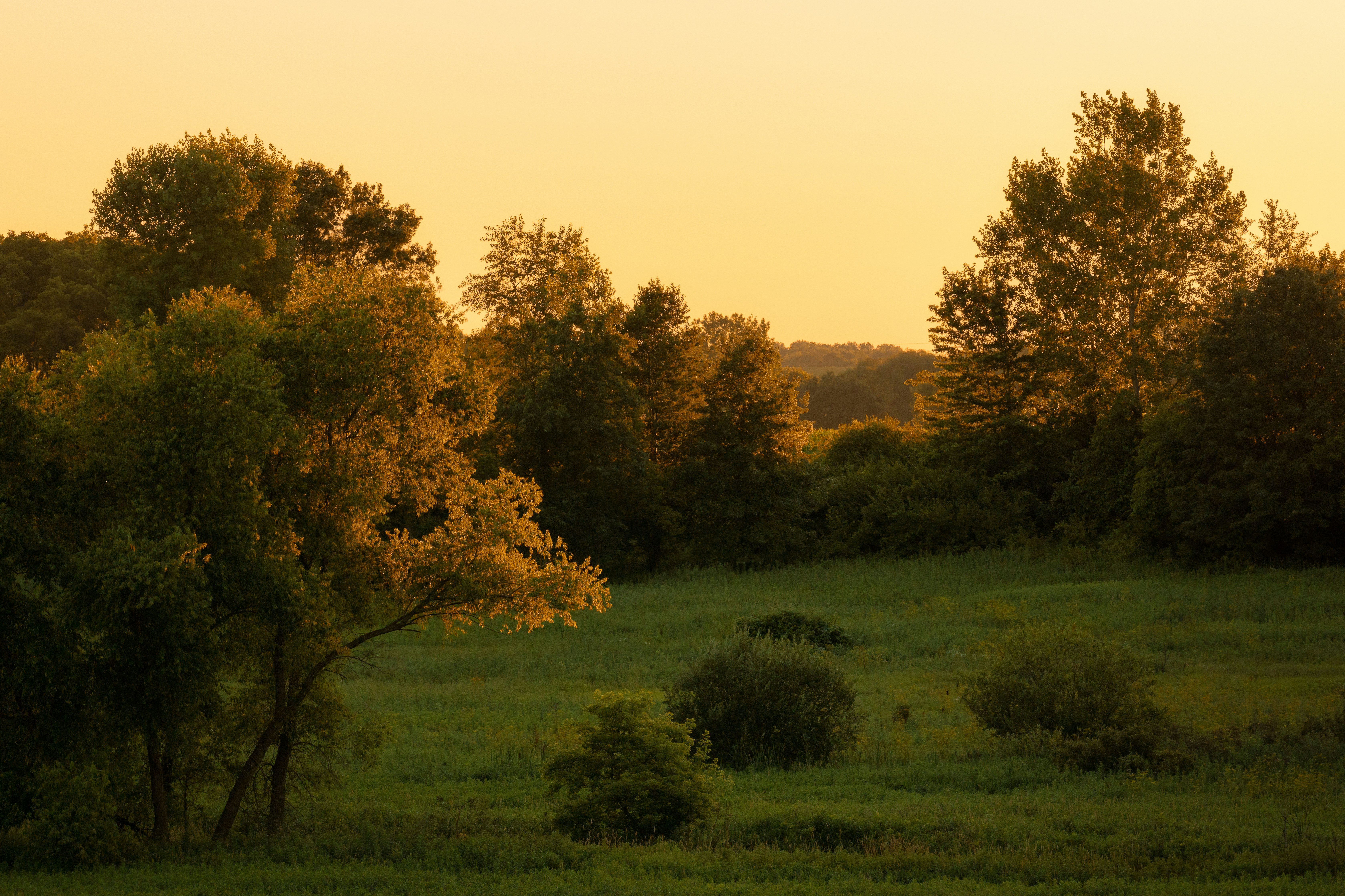 Rural Evening Light