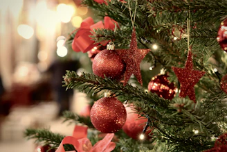 a christmas tree with ornaments
