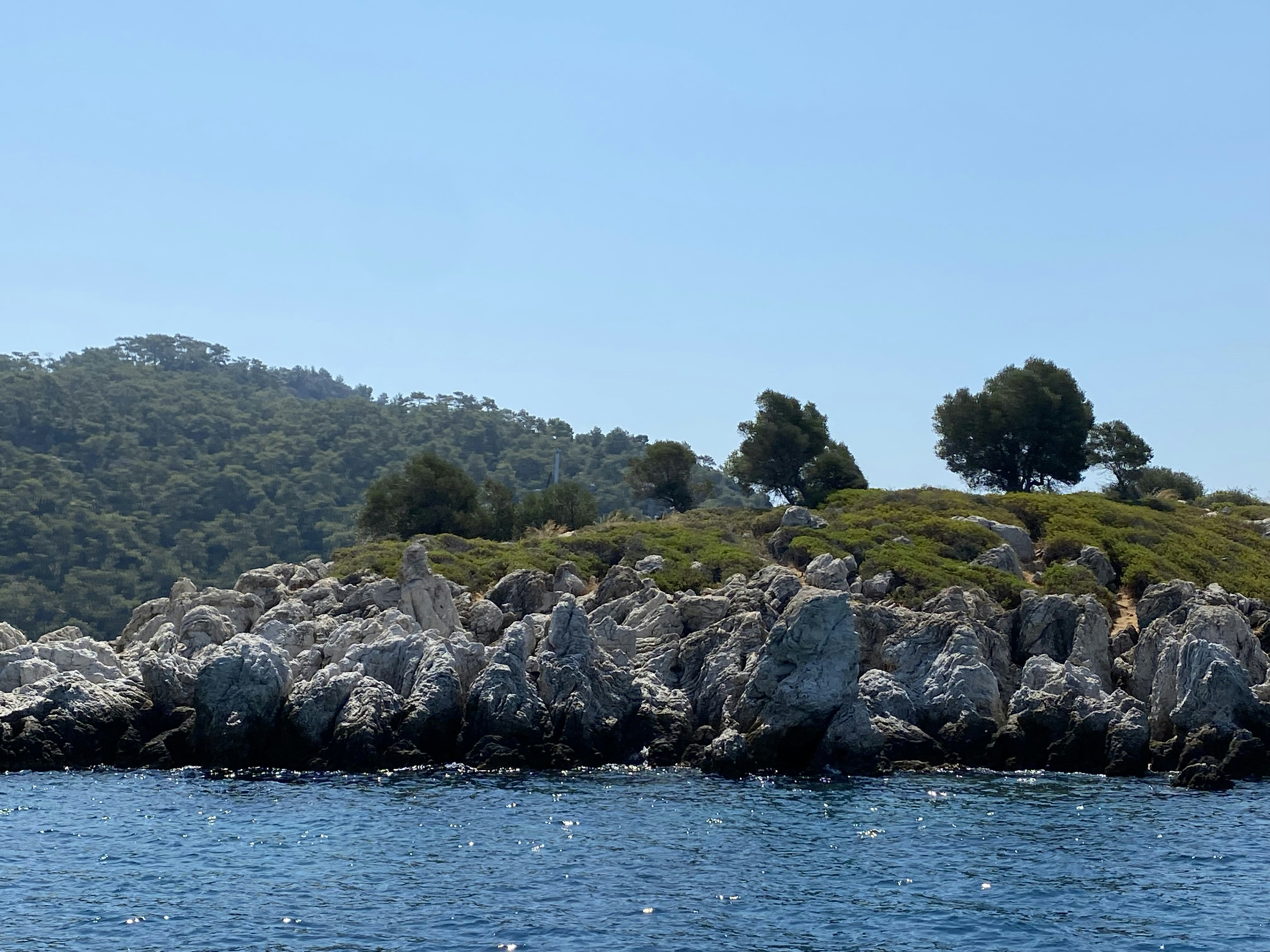 a rocky shoreline with trees