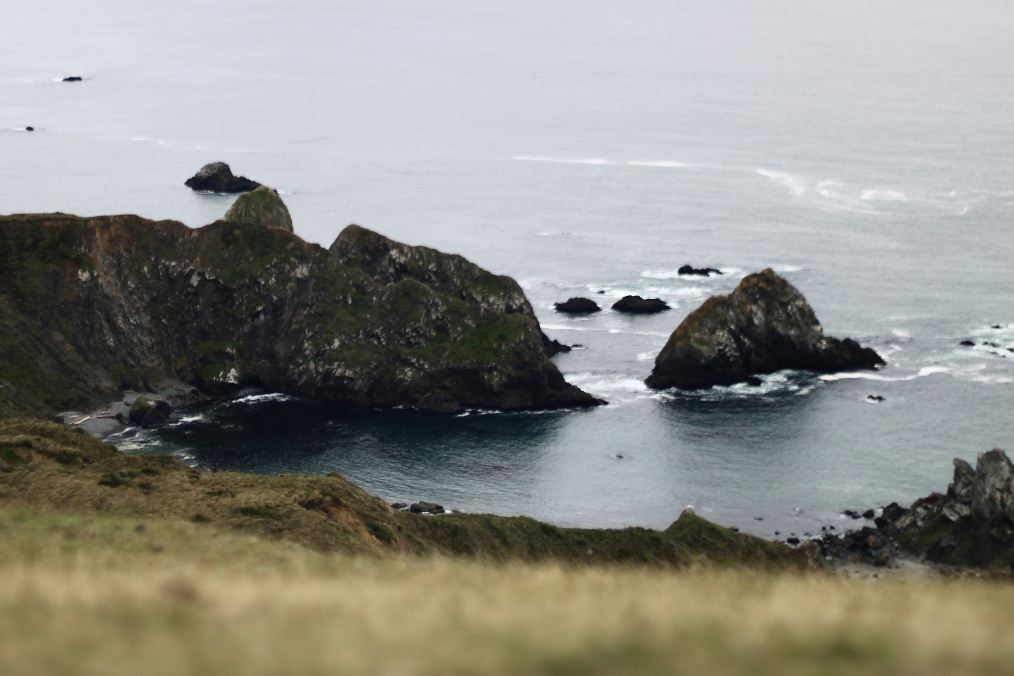 Photo by annasmith206