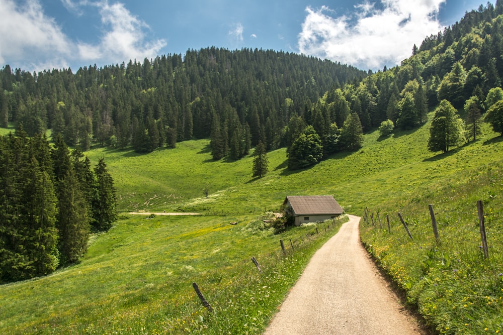 a dirt road in a grassy area with trees and mountains in the background